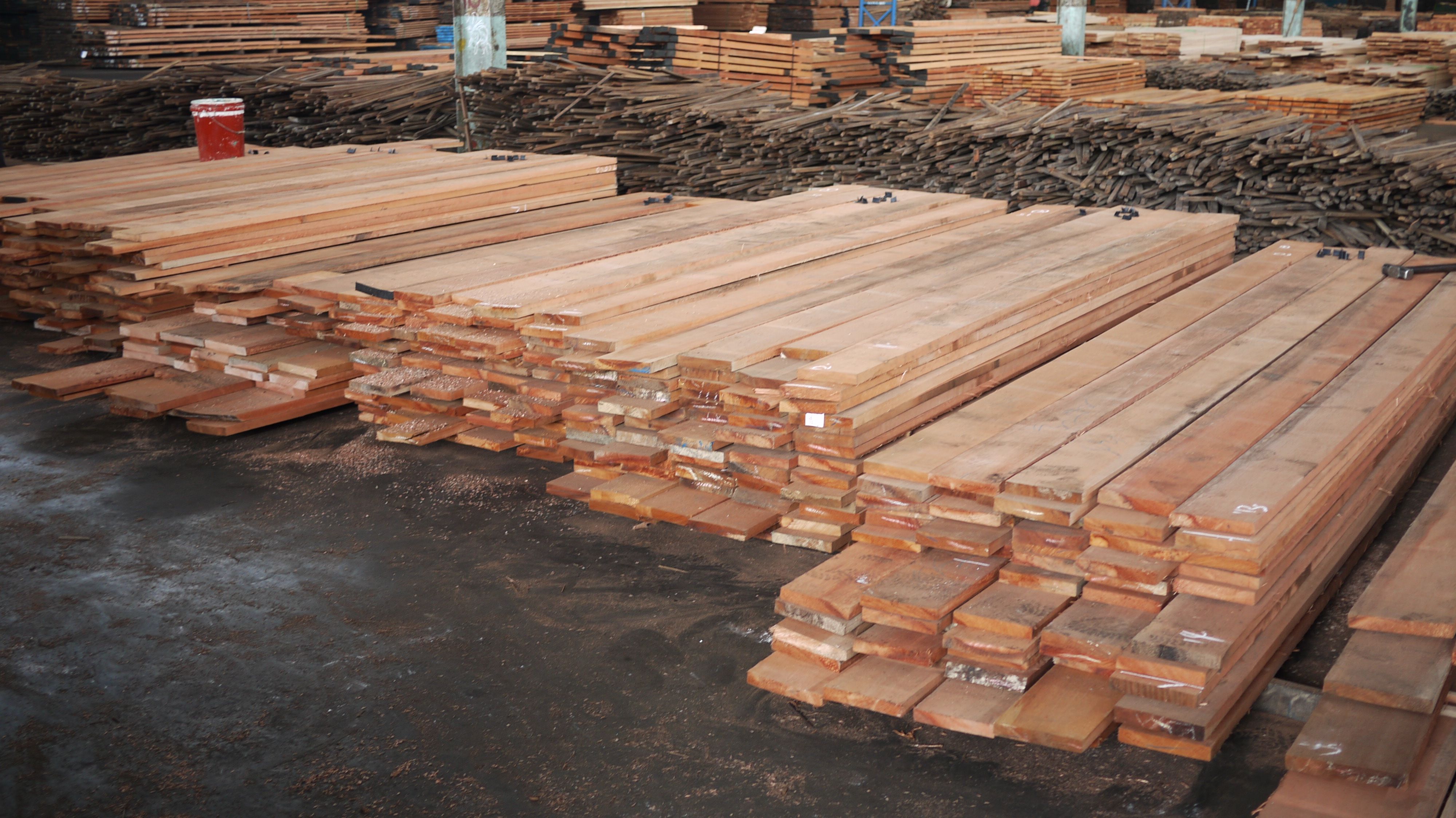 Red Meranti (Shorea spp.) sawn timber #timber #lumber #sawn ...