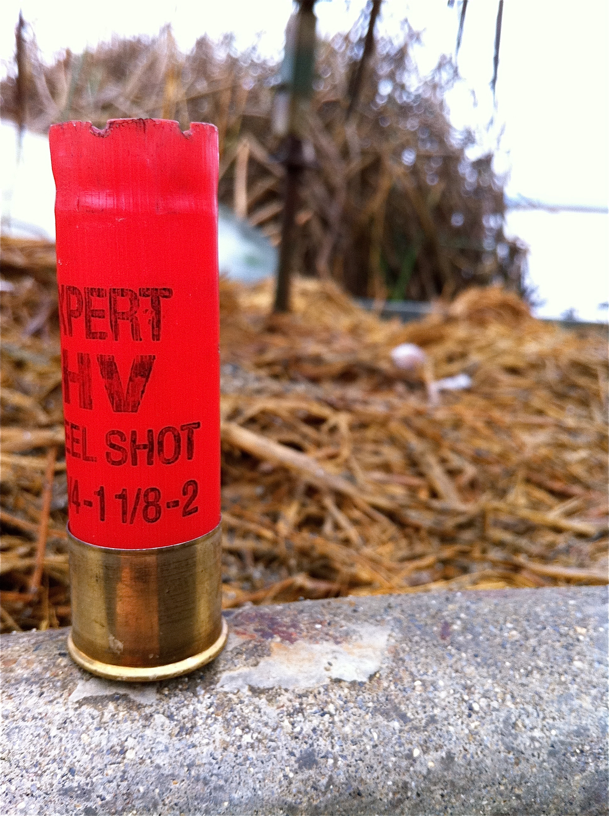 Shotgun shell photo
