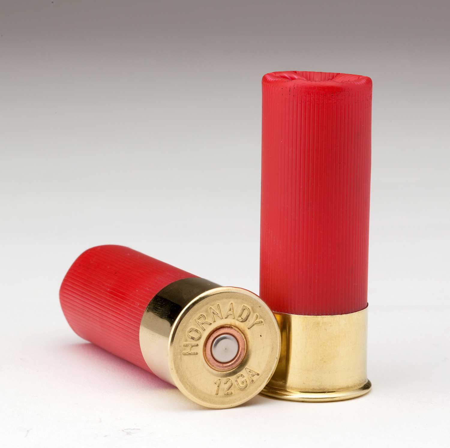 Shotgun shells photo