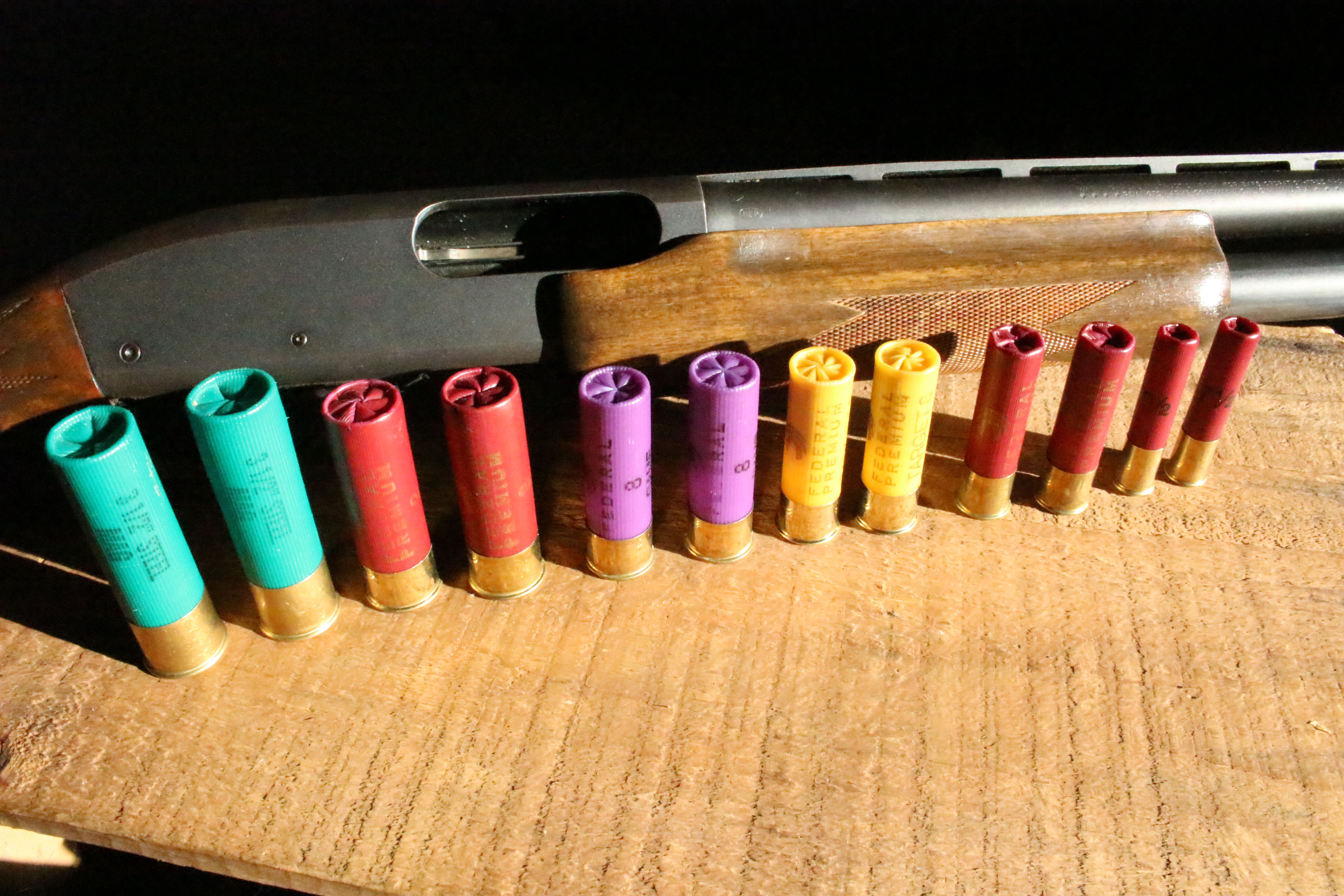 Shotgun Shells Explained—The New Shooter's Dictionary