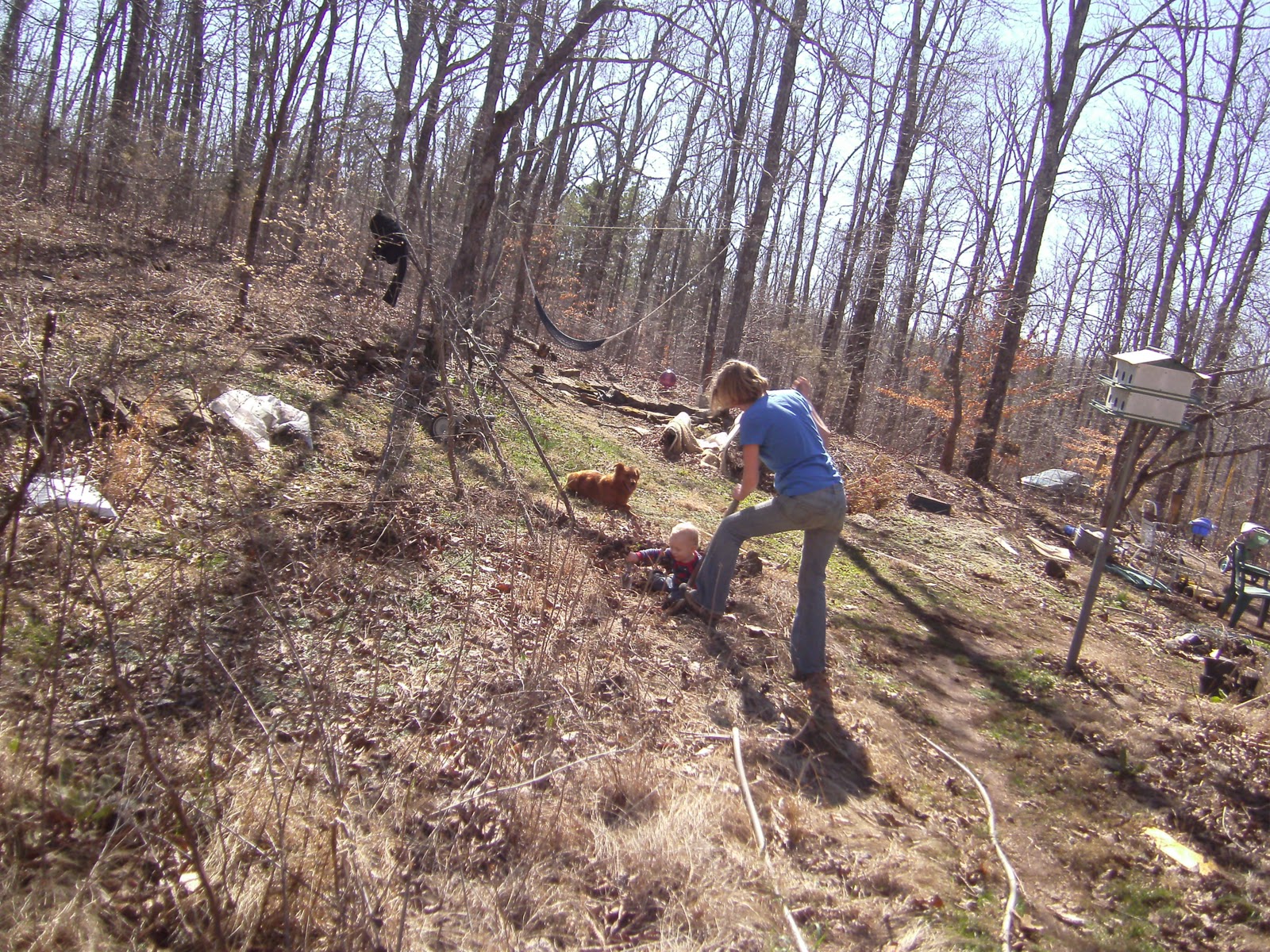 Owls' Knob... Tales of the Ozark Mountains: Breaking Ground