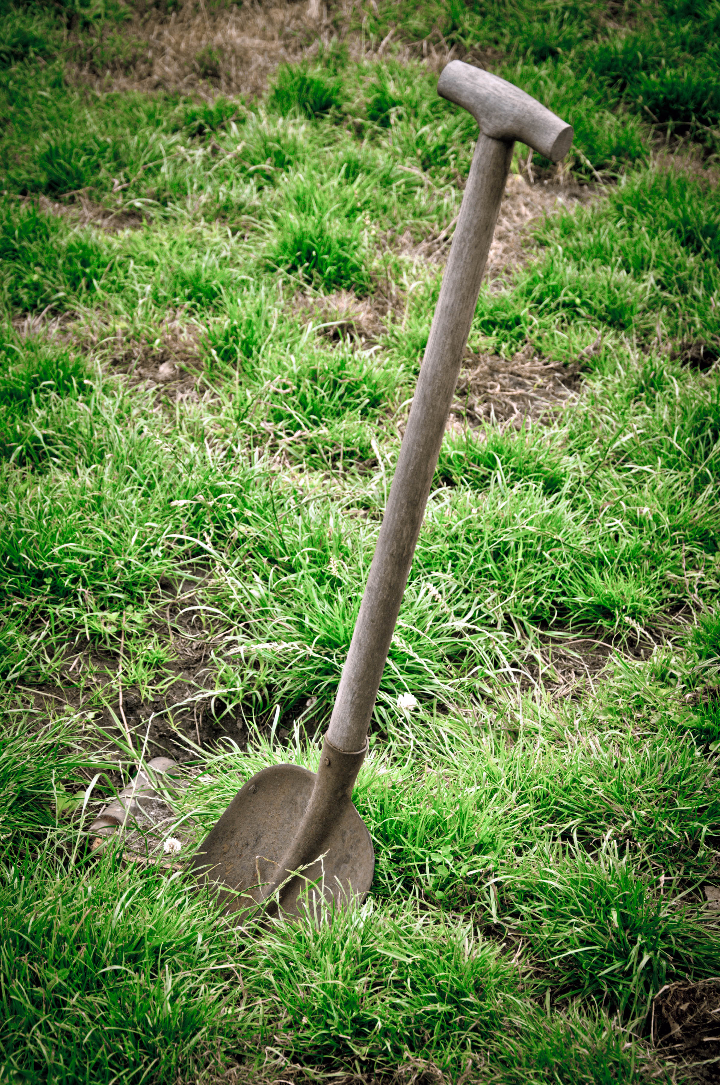 Shovel, Agriculture, Working, Work, Tools, HQ Photo