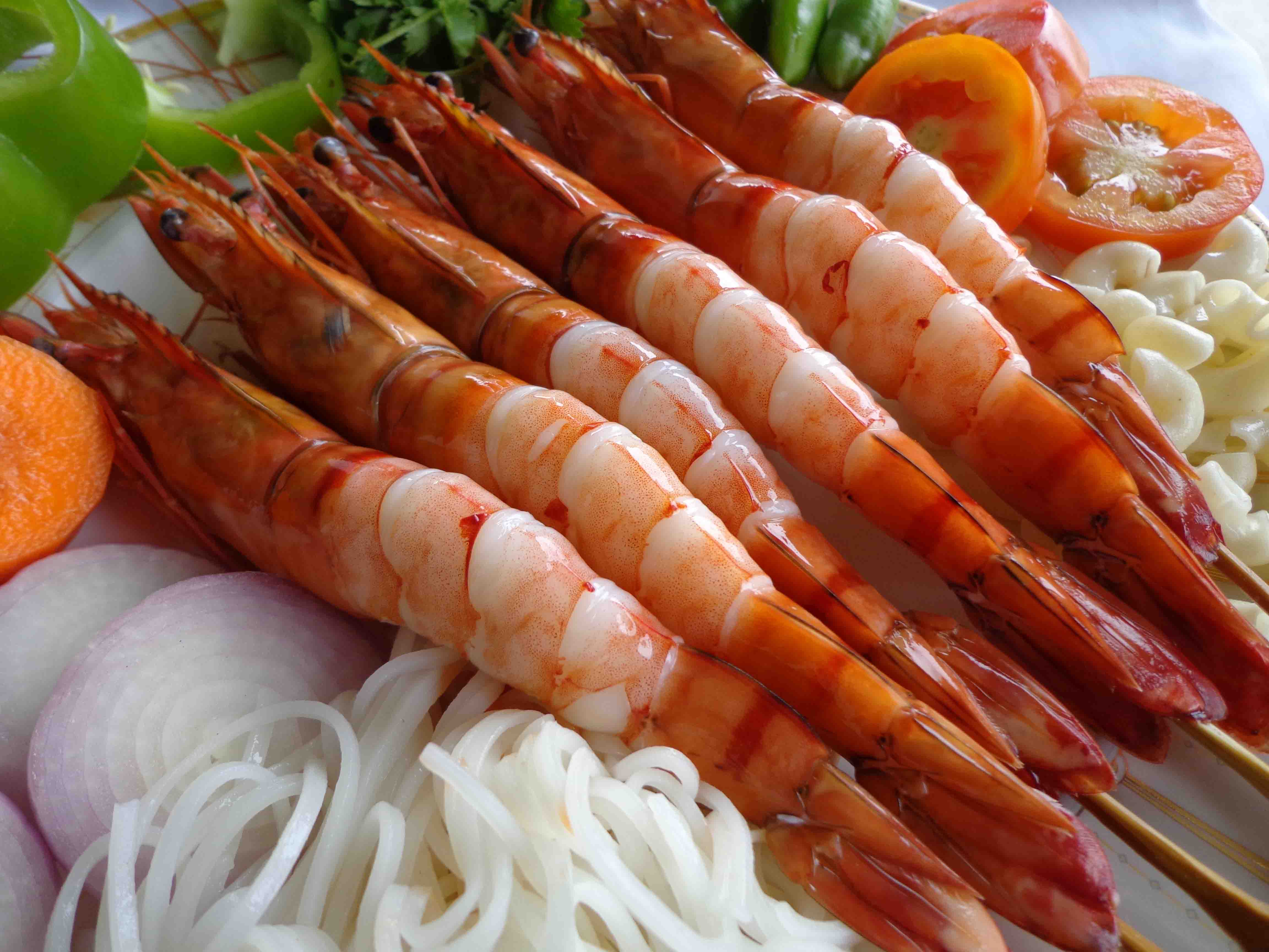 Shrimps Source International – Shrimps Source International
