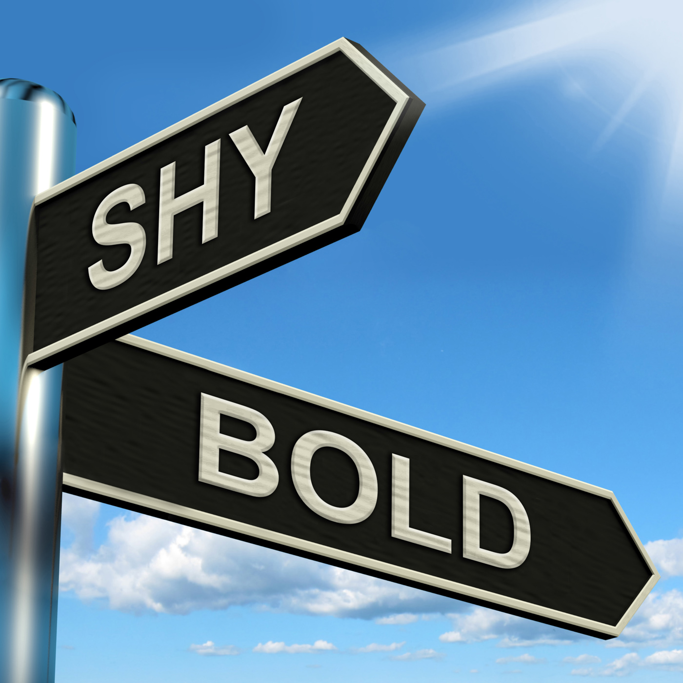 Shy Bold Signpost Means Introvert Or Extrovert, Bold, Cautious, Confident, Daring, HQ Photo
