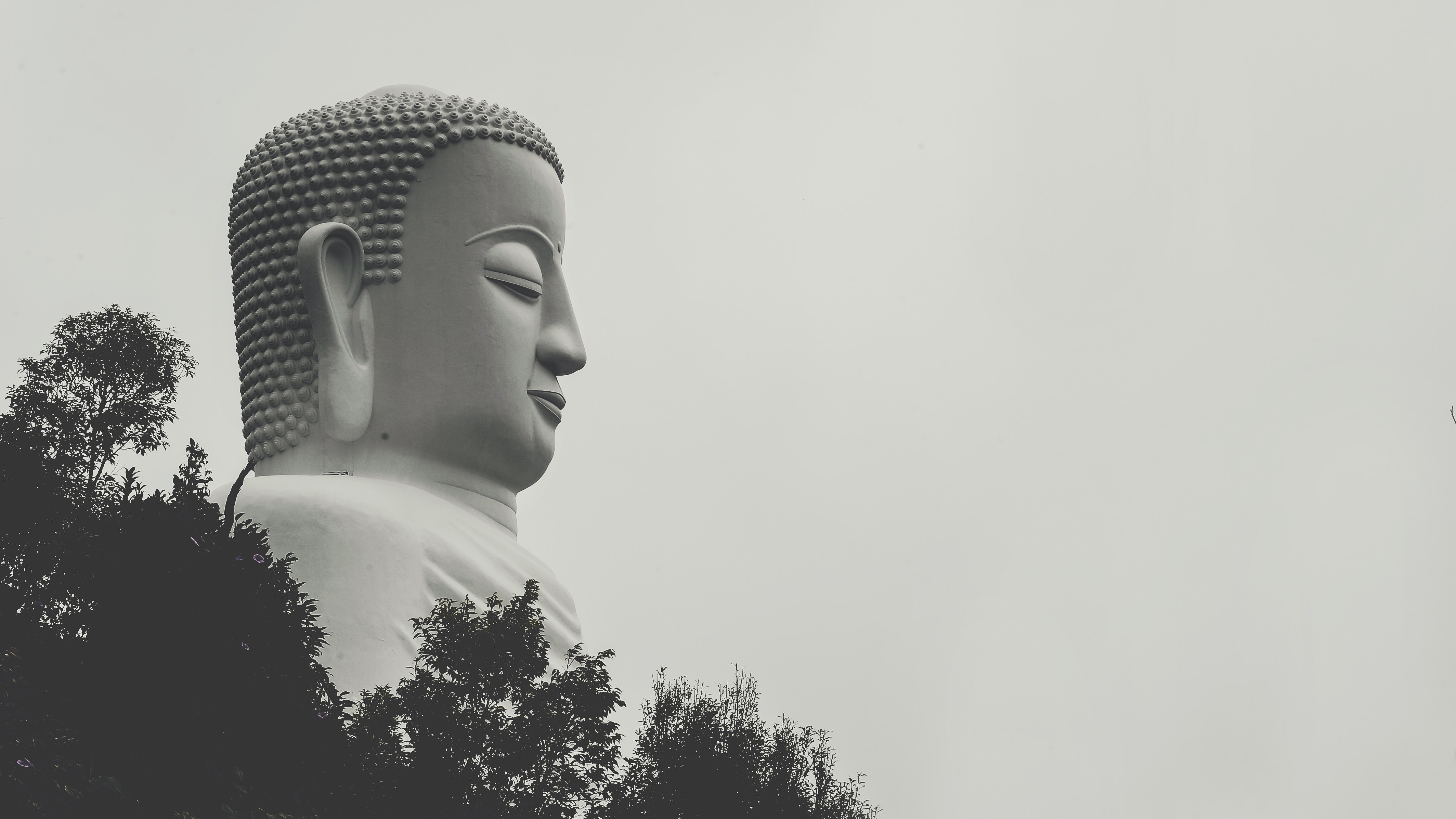 Side View Photo of Gautama Buddha Statue, Architecture, Religion, Statue, Silhouette, HQ Photo
