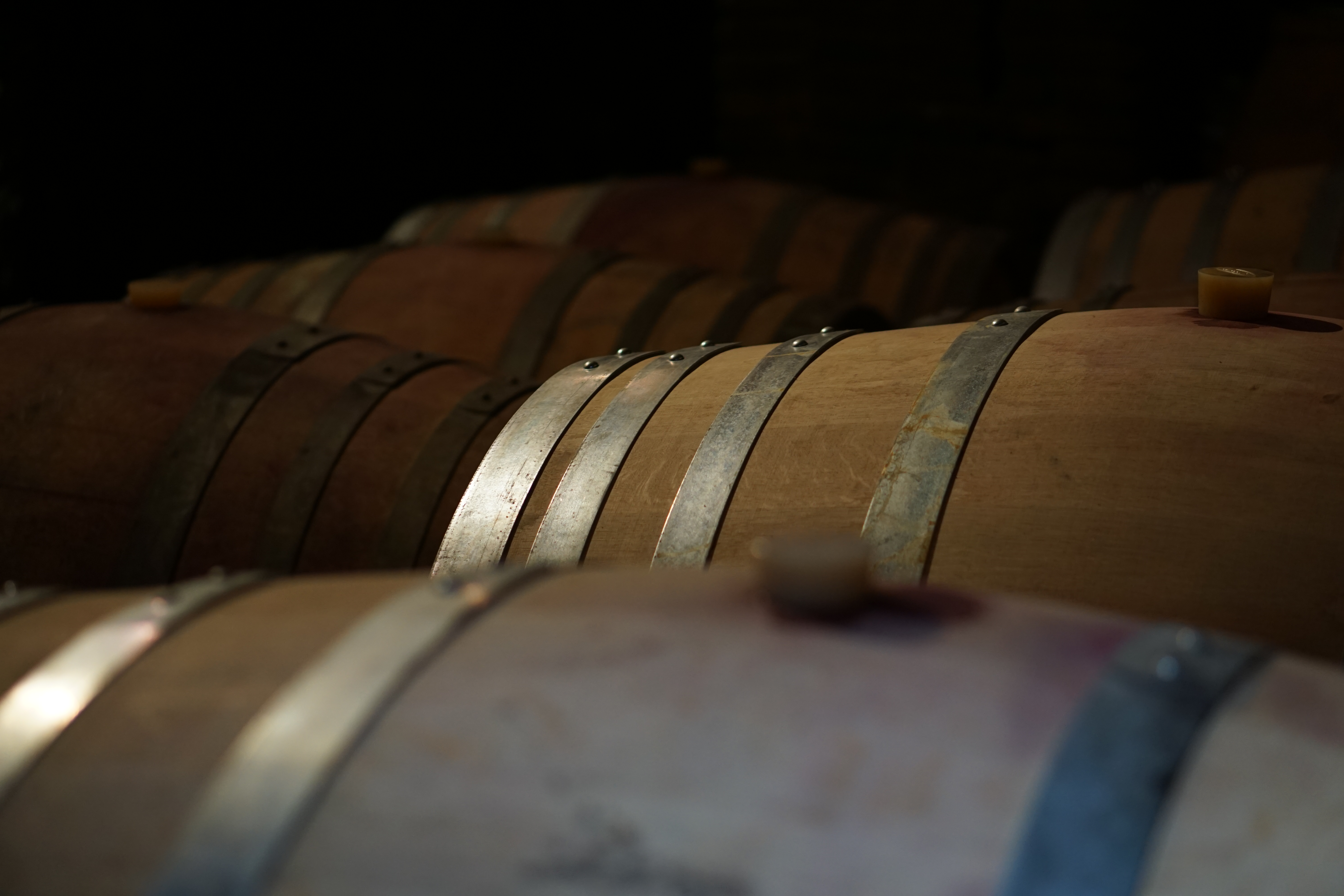 Side view wine barrels photo