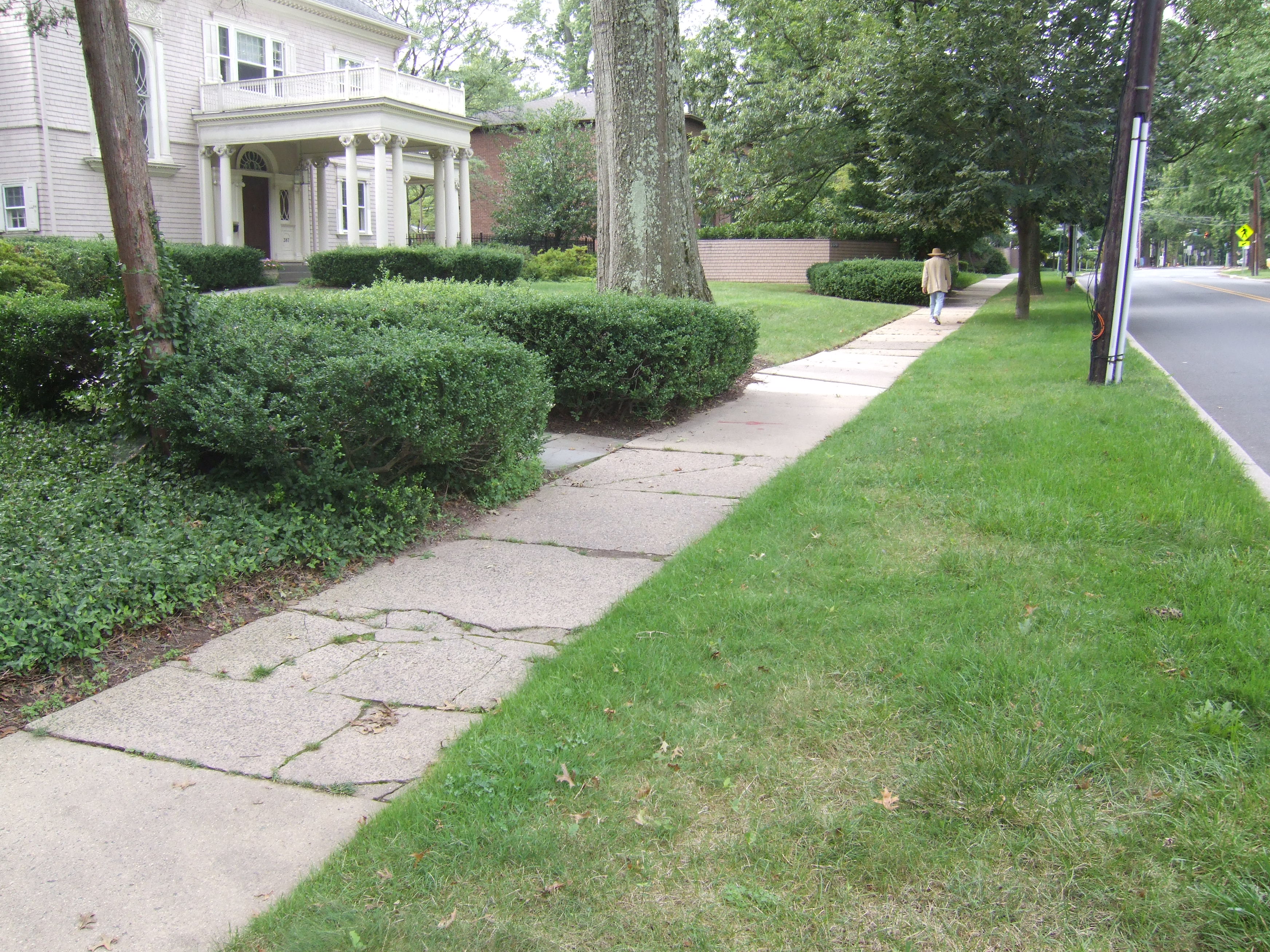 Sidewalk Repairs in New Jersey – Who gets the bill? - Carl E. Peters ...