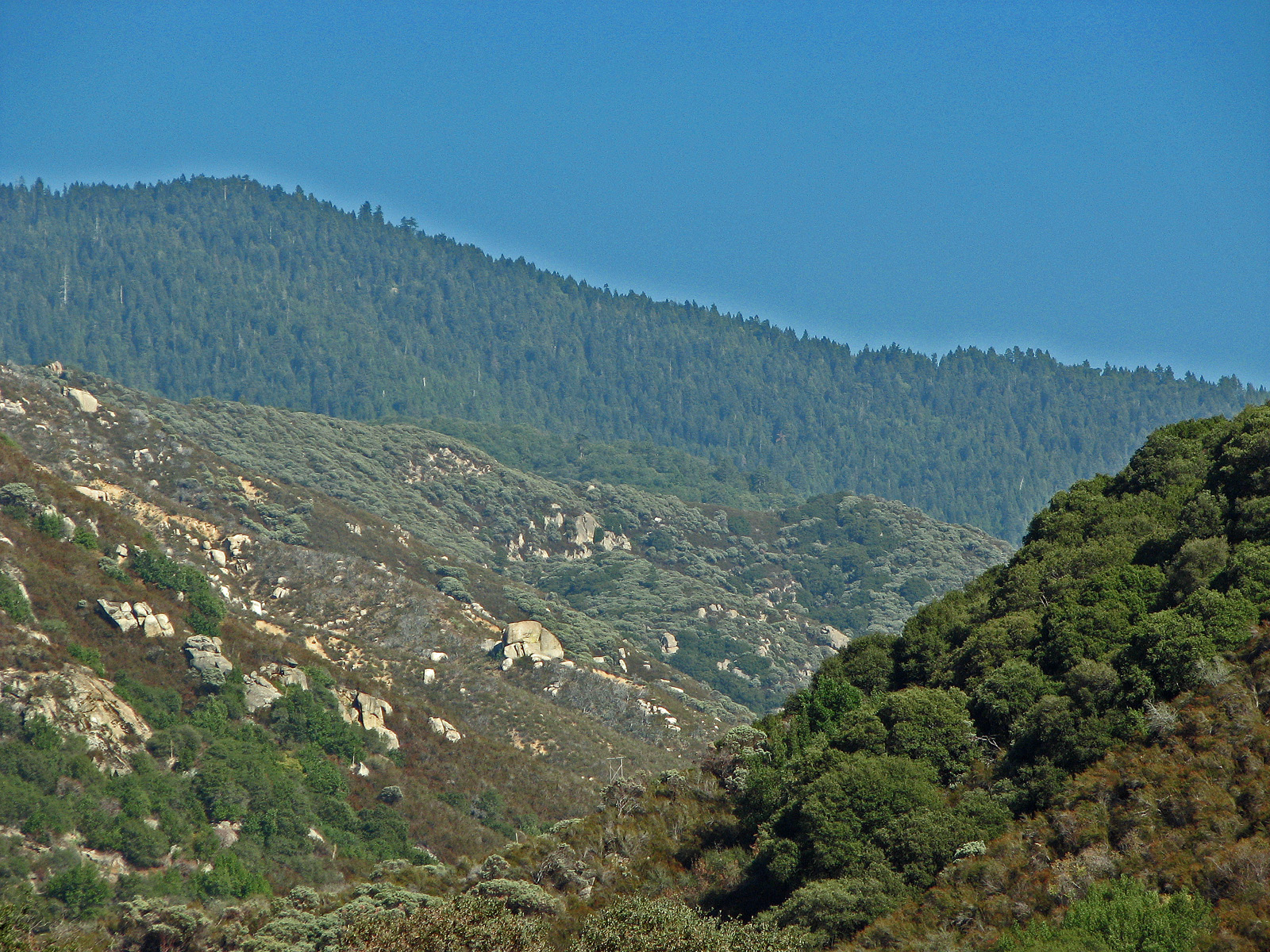 Sierra foothills photo