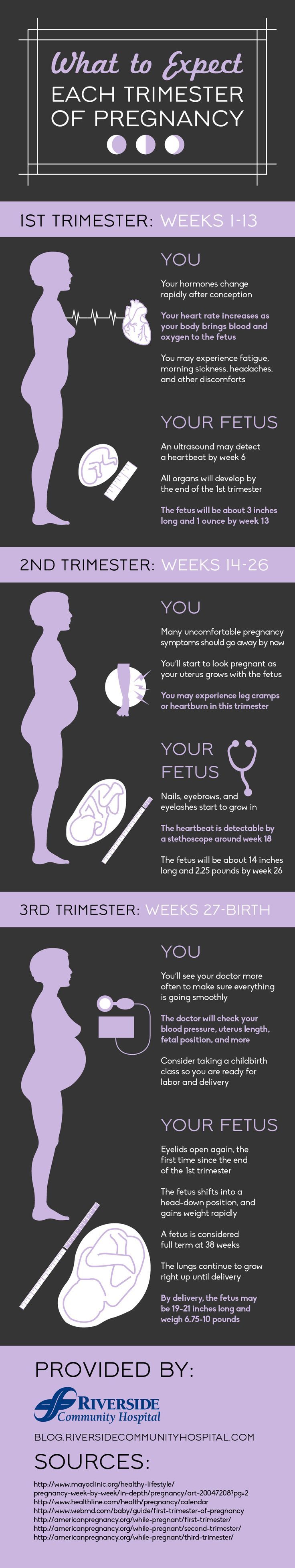 Early symptoms of pregnancy include headaches and morning sickness ...