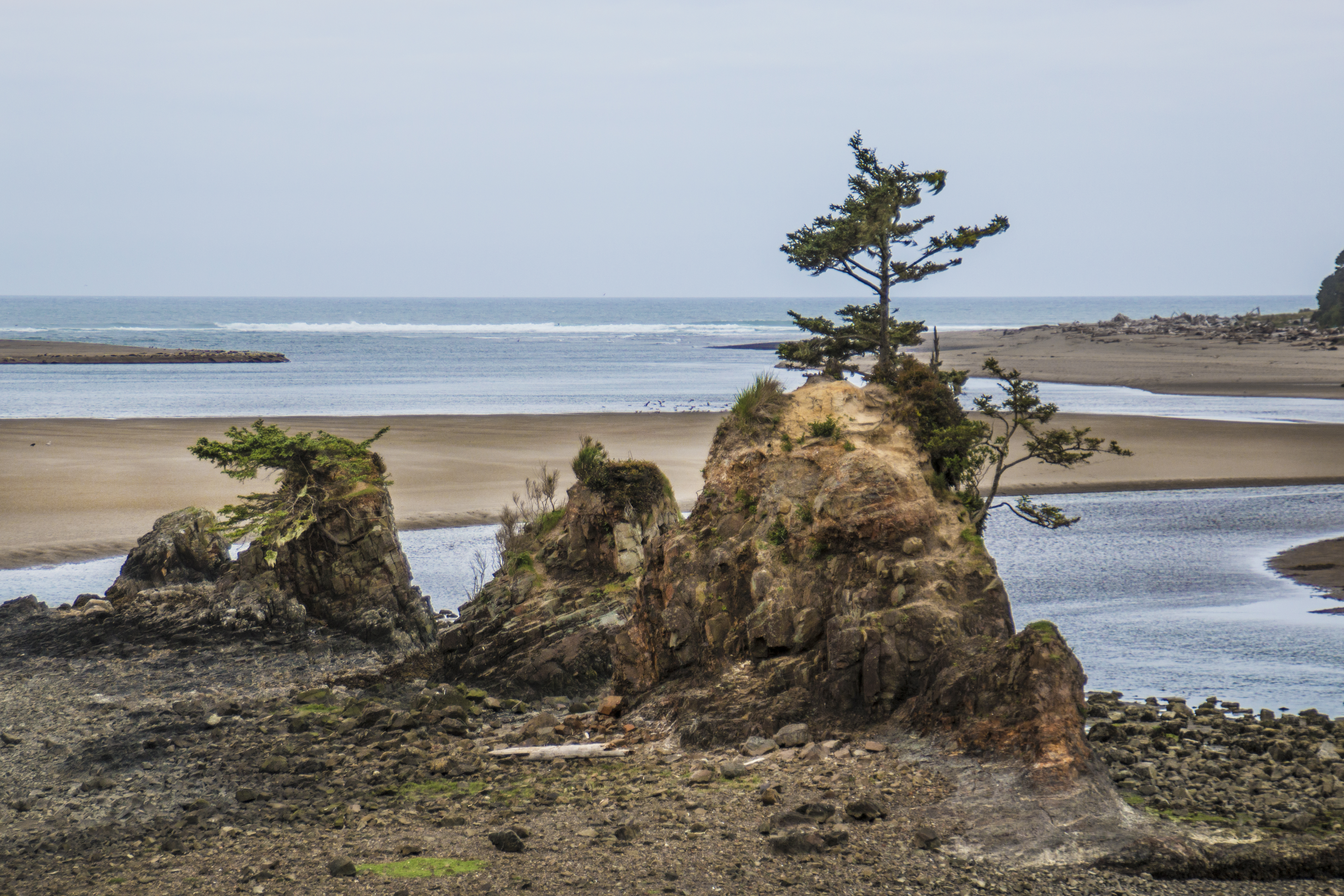 Siletz Bay, Oregon, Bay, Beach, Coast, Grass, HQ Photo