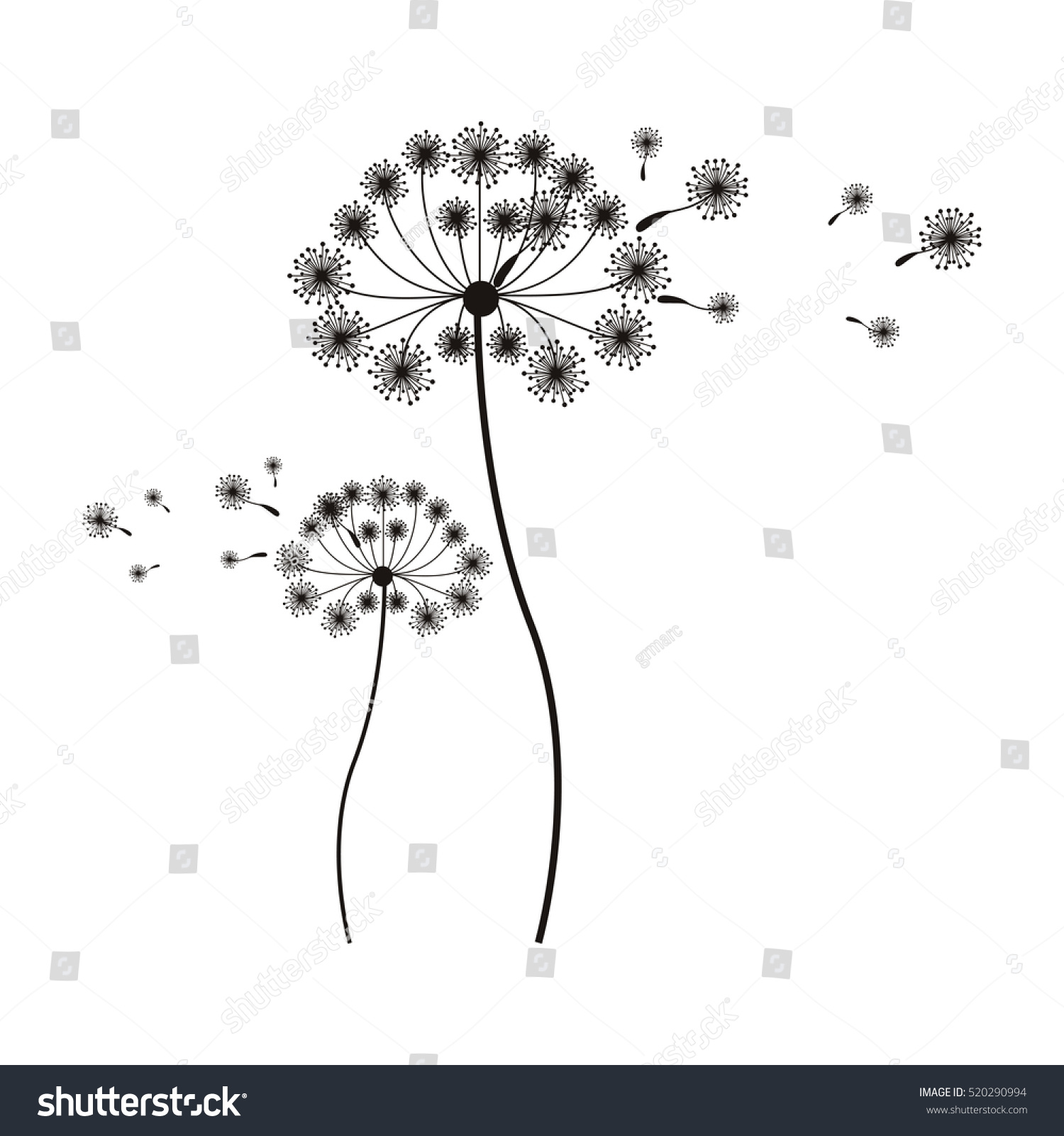 Silhouette Flying Blow Dandelion Buds Stock Photo (Photo, Vector ...