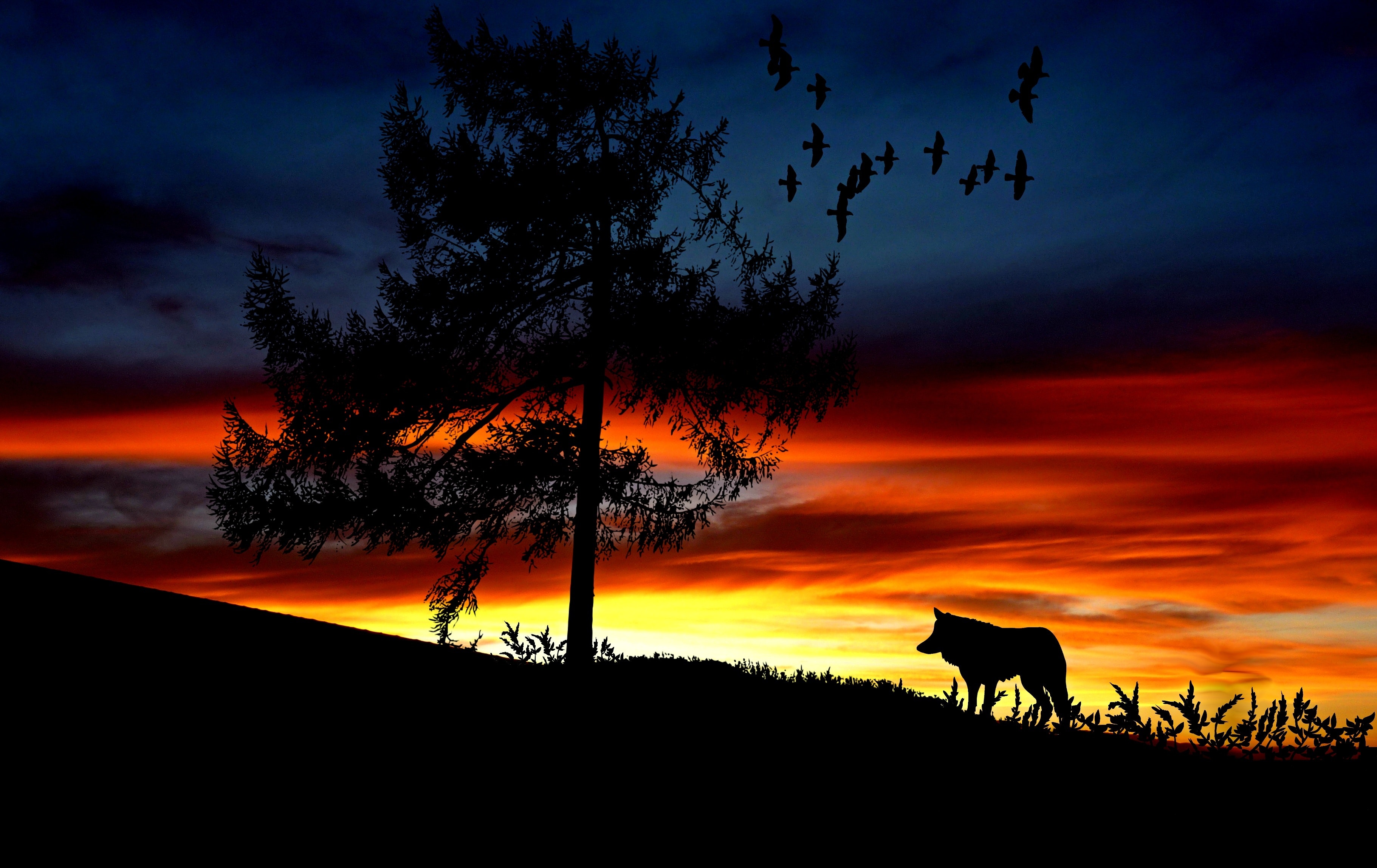 Silhouette dog on landscape against romantic sky at sunset photo