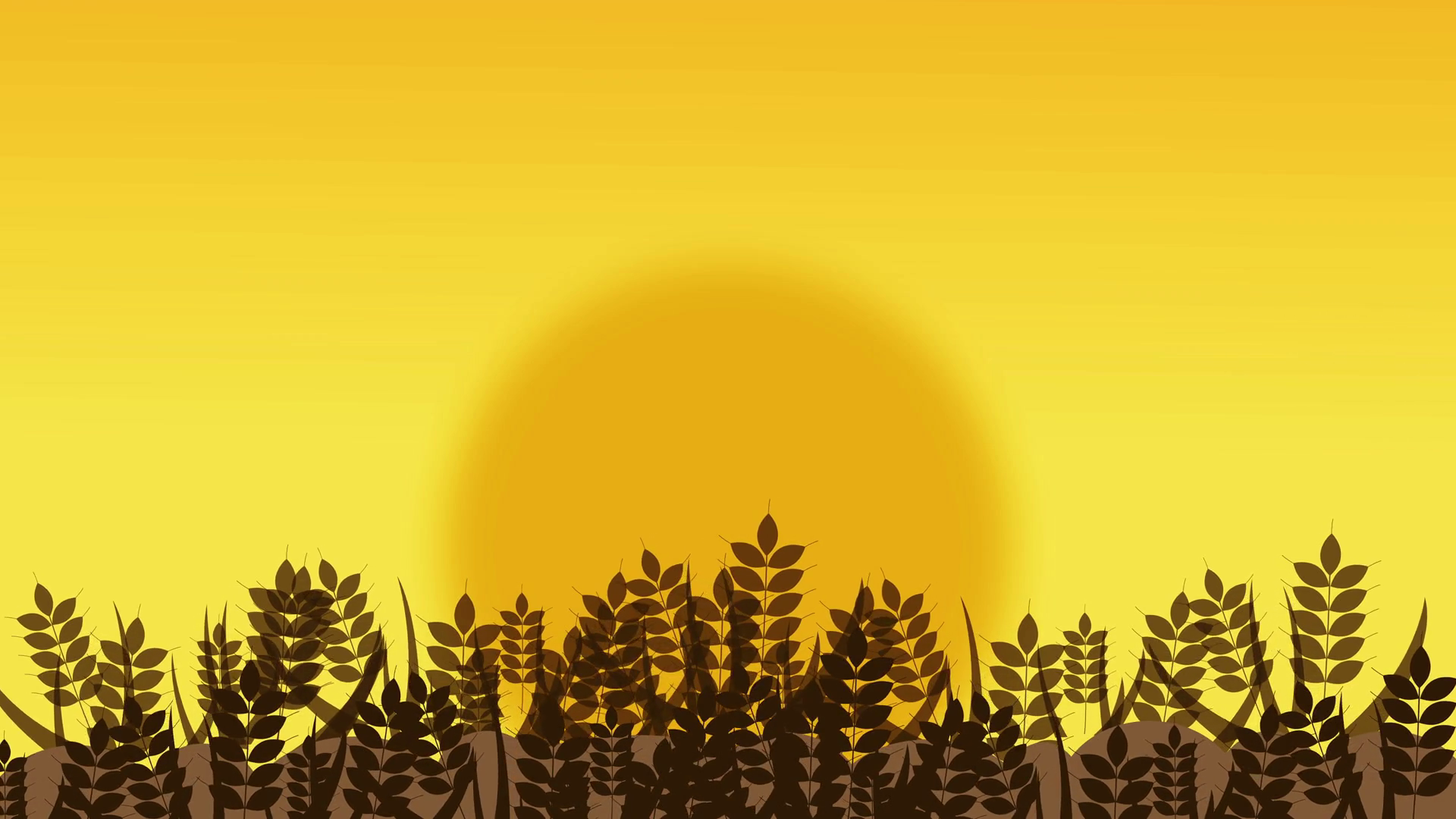 Nice cartoon animation of silhouette wheat field over sunburst ...