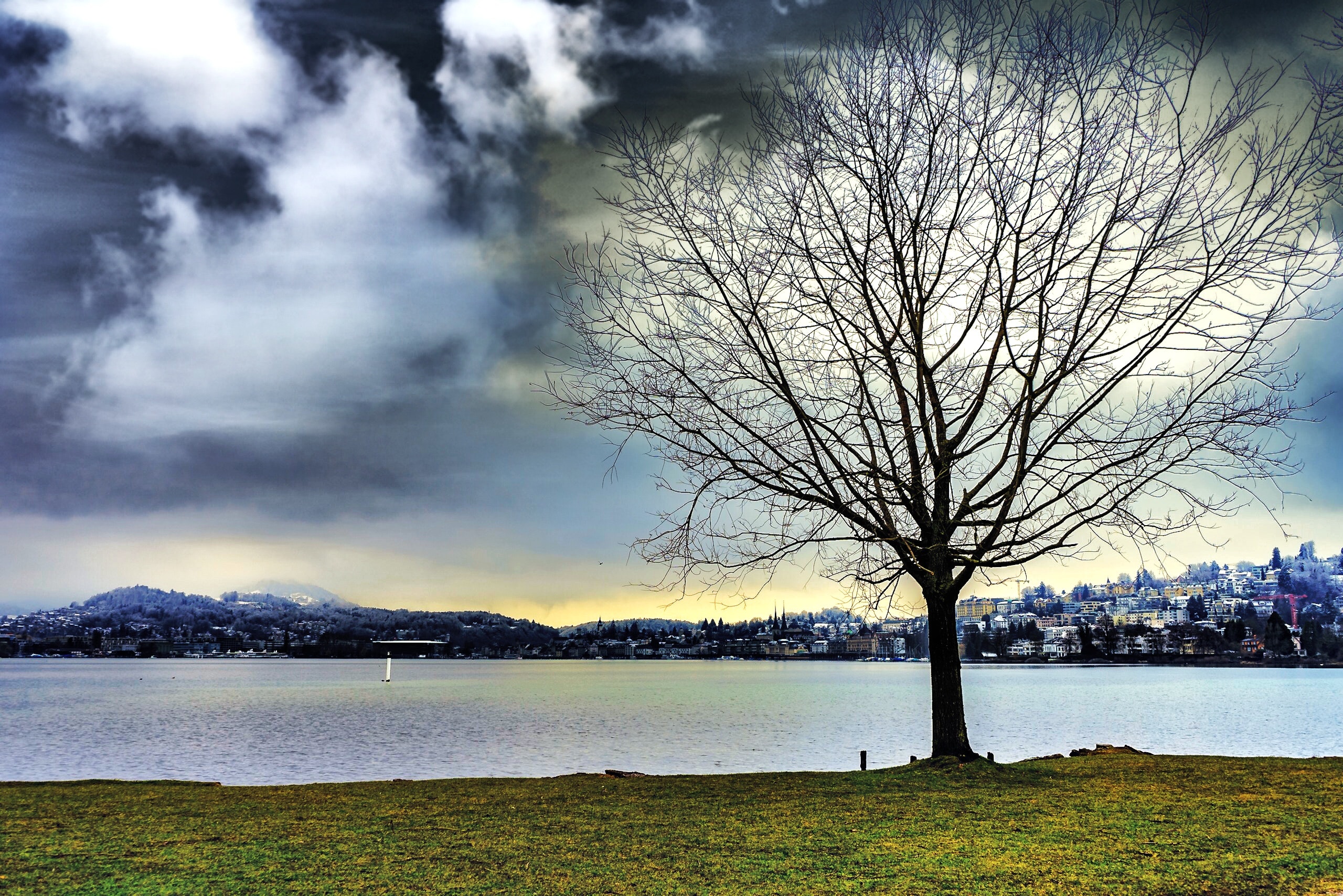 Silhouette of leafless tree beside water during cloudy sky photo