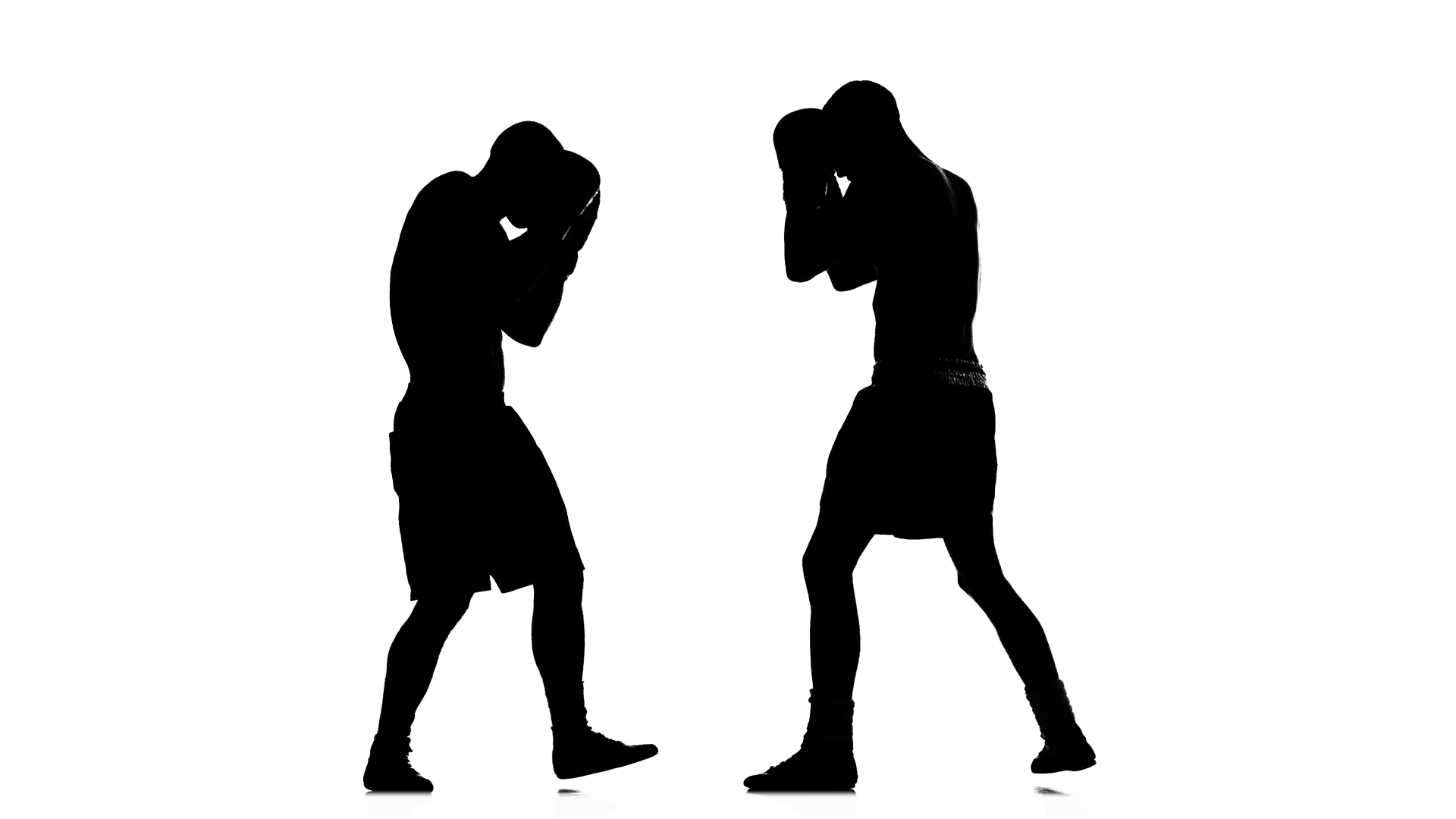 Silhouette of man on white background fight two champions boxers ...