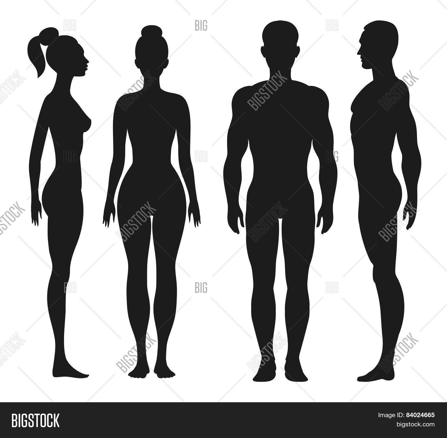 Front Side View Silhouettes Man, Vector & Photo | Bigstock