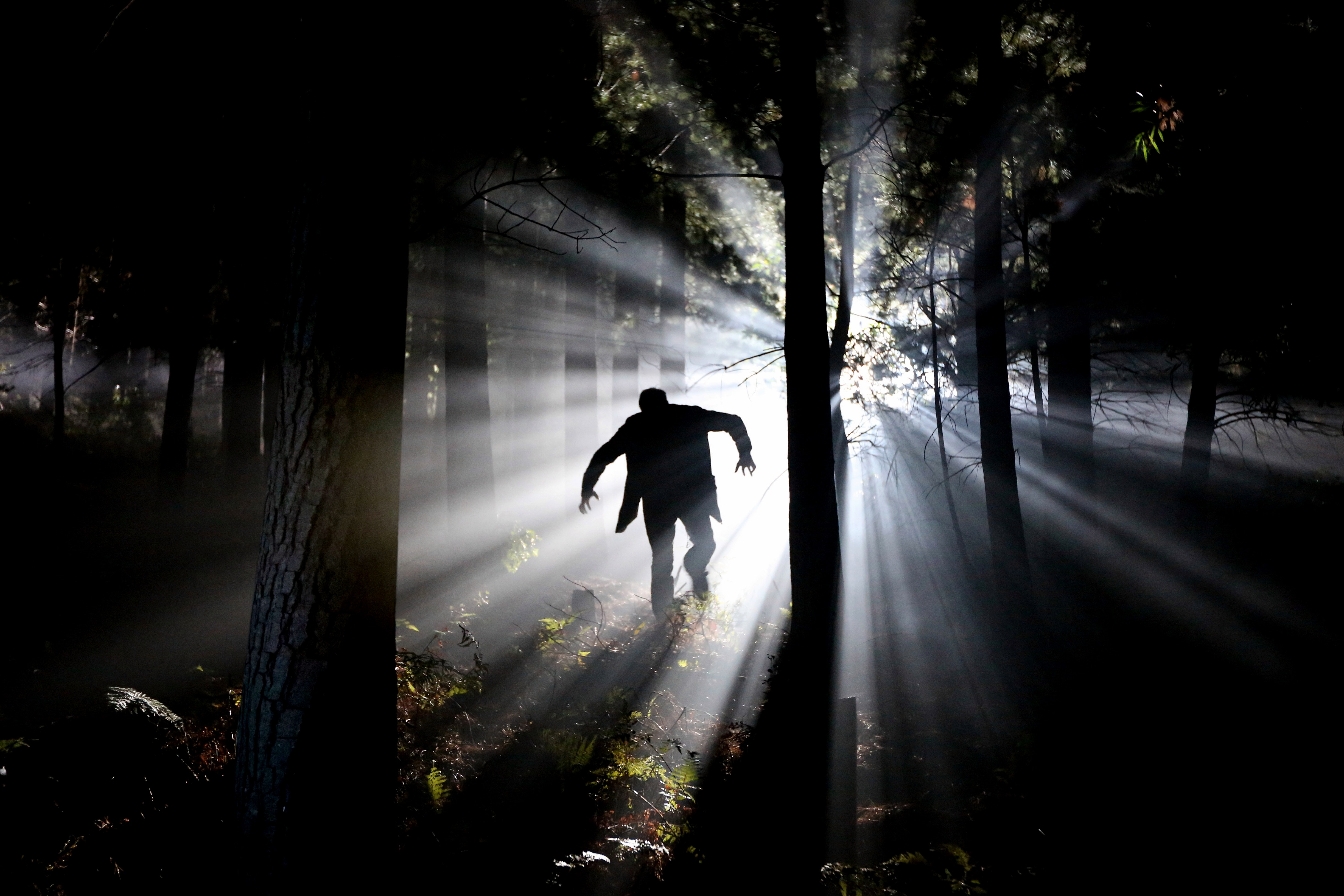 Silhouette of Man Running on Forest, Backlit, Dark, Eerie, Fog, HQ Photo