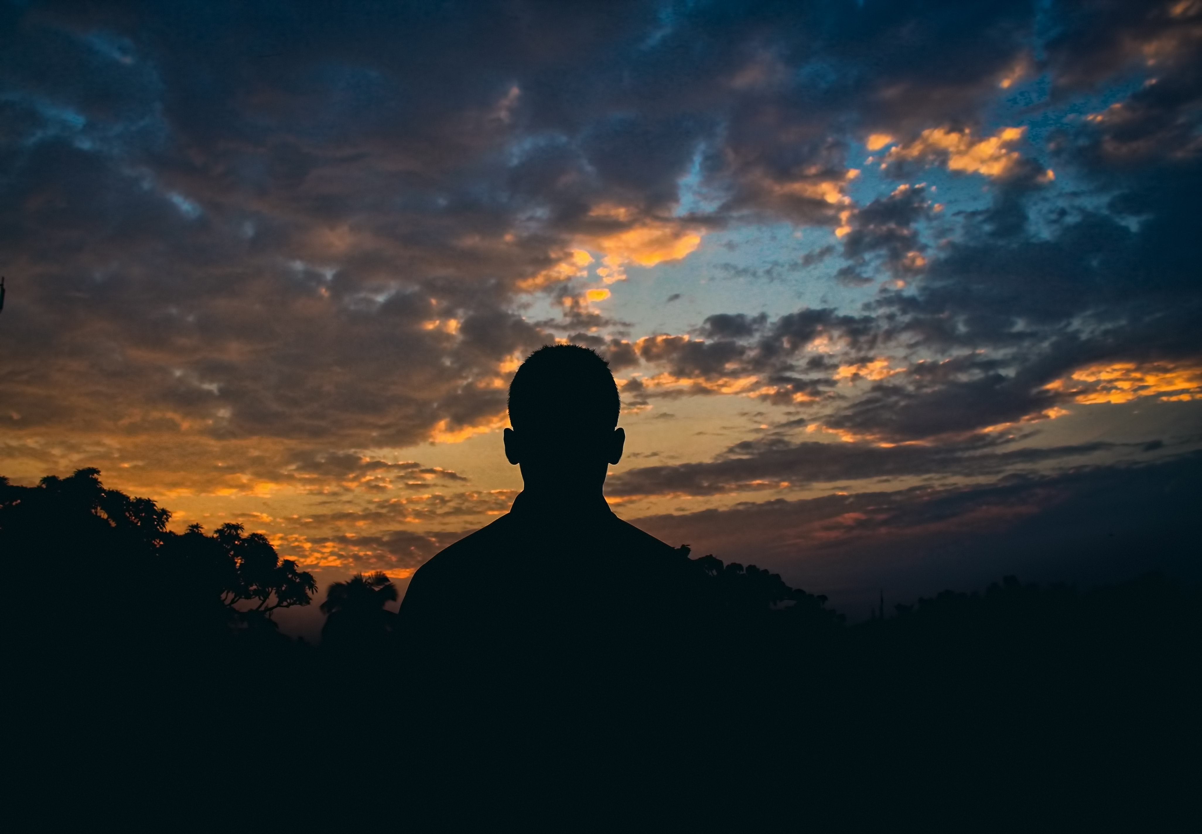 Silhouette of man watching golden hour photo