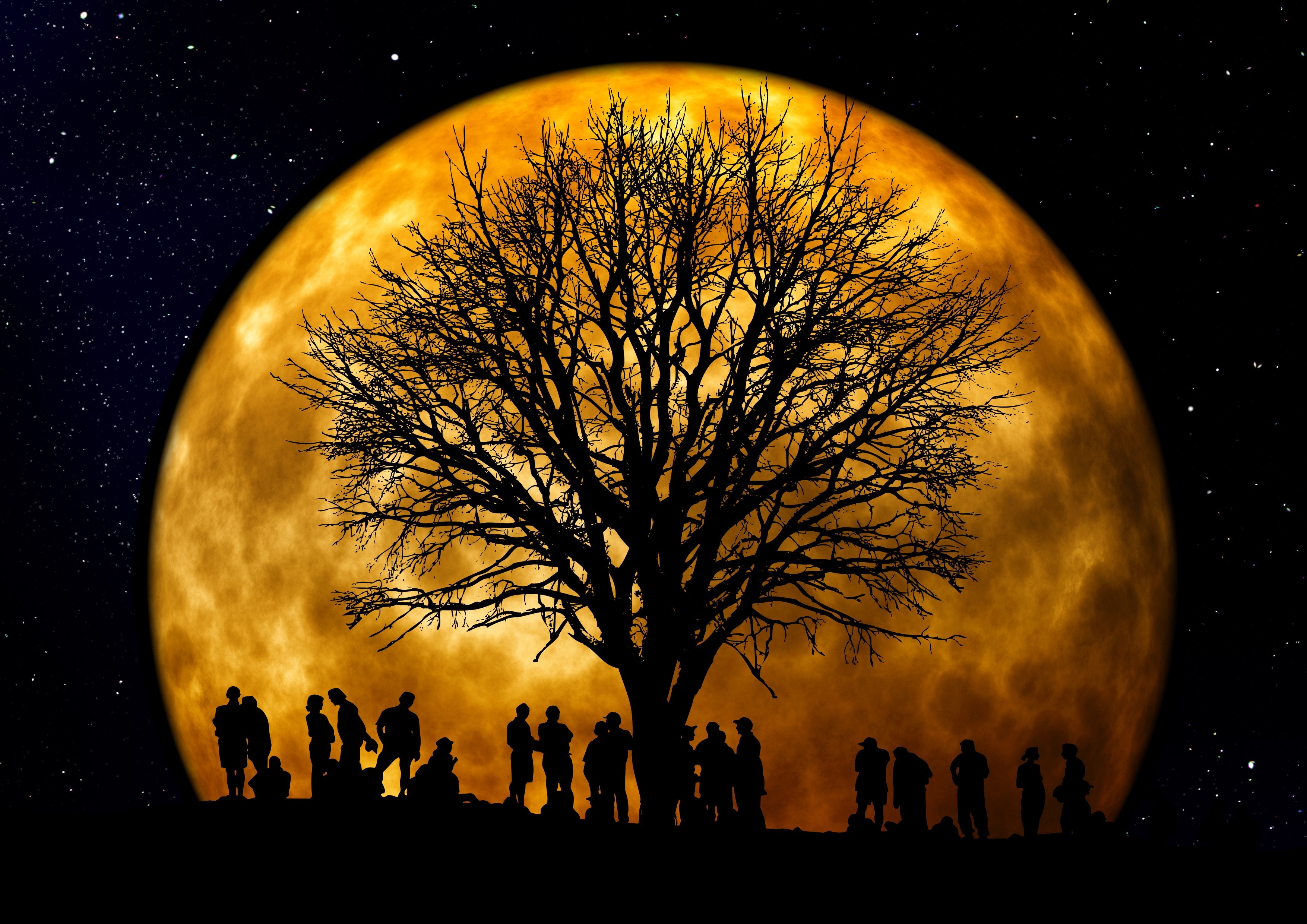 Silhouette of People Standing Neat Tree Under the Moon, Community, Dark, Full moon, Luna, HQ Photo