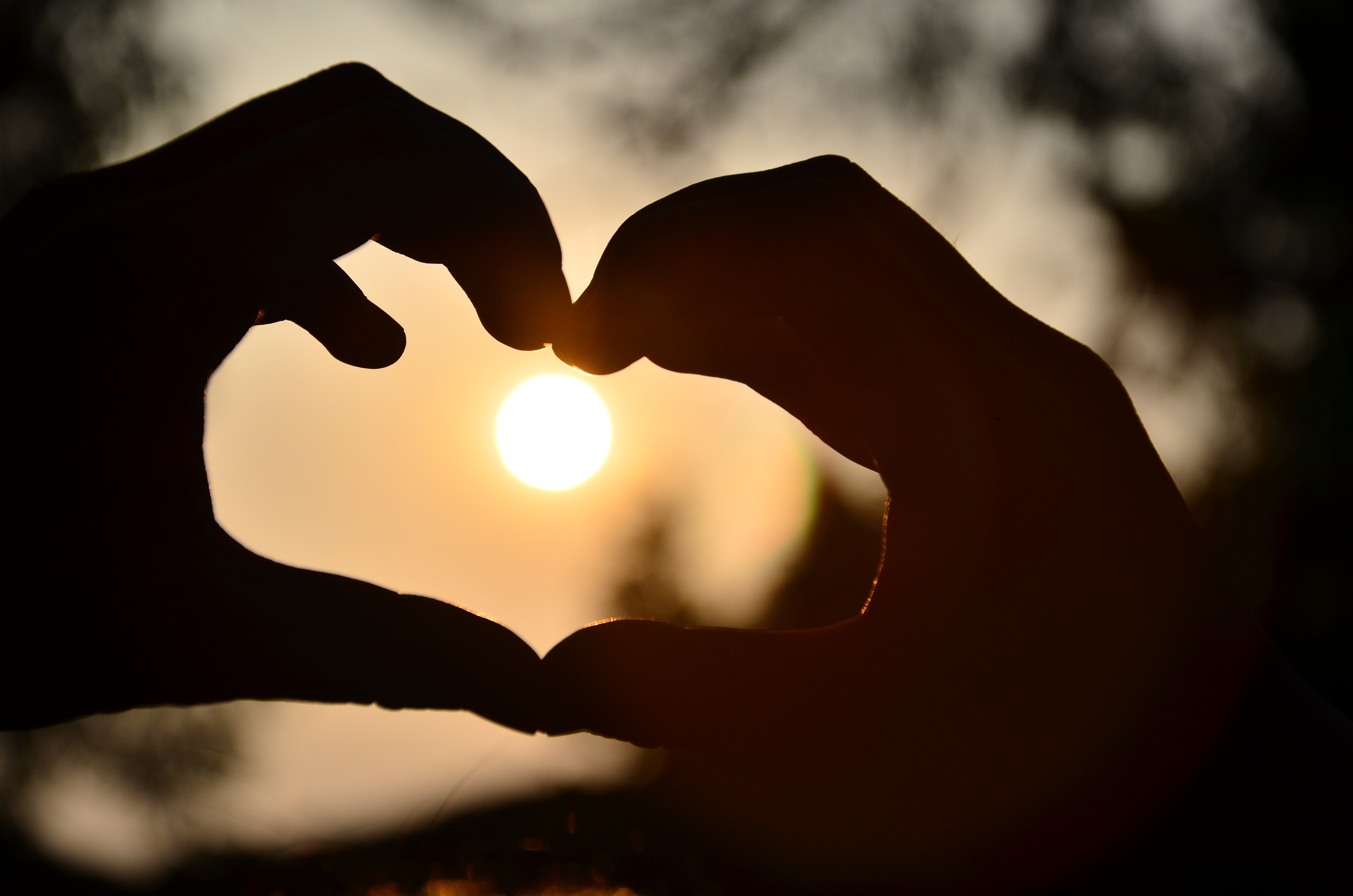 Silhouette of person hand doing heart shape during sunset photo