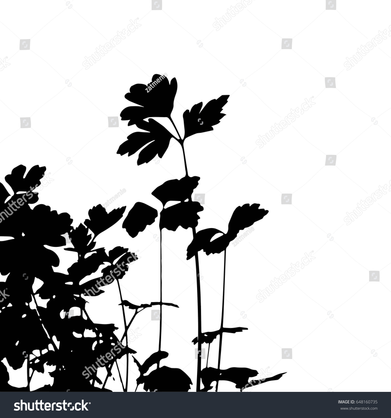 Black Silhouette Plants On White Background Stock Vector 648160735 ...