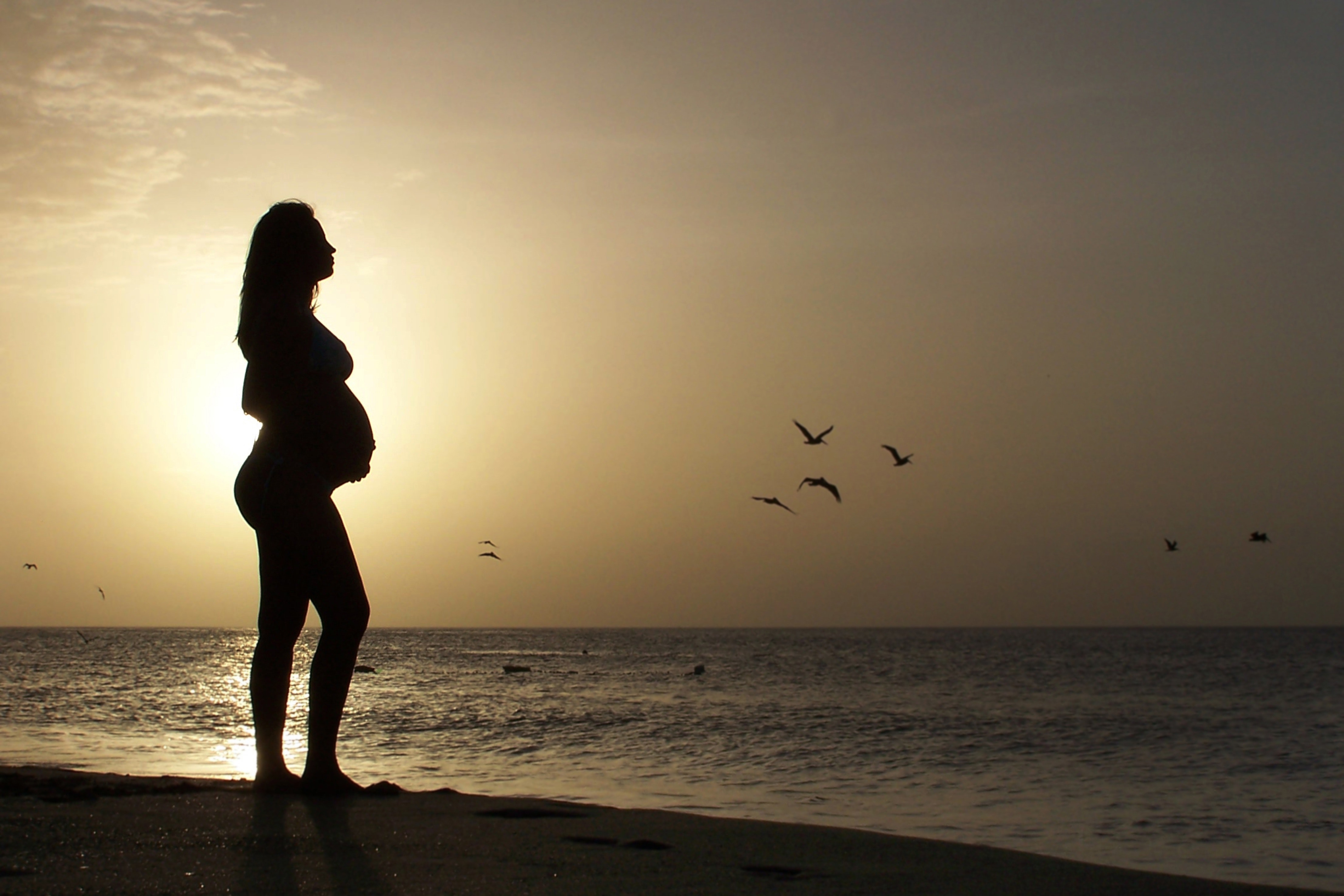 Silhouette of Pregnant Standing on Seashore during Golden Hour, Abdomen, Sea, Outdoors, Parent, HQ Photo