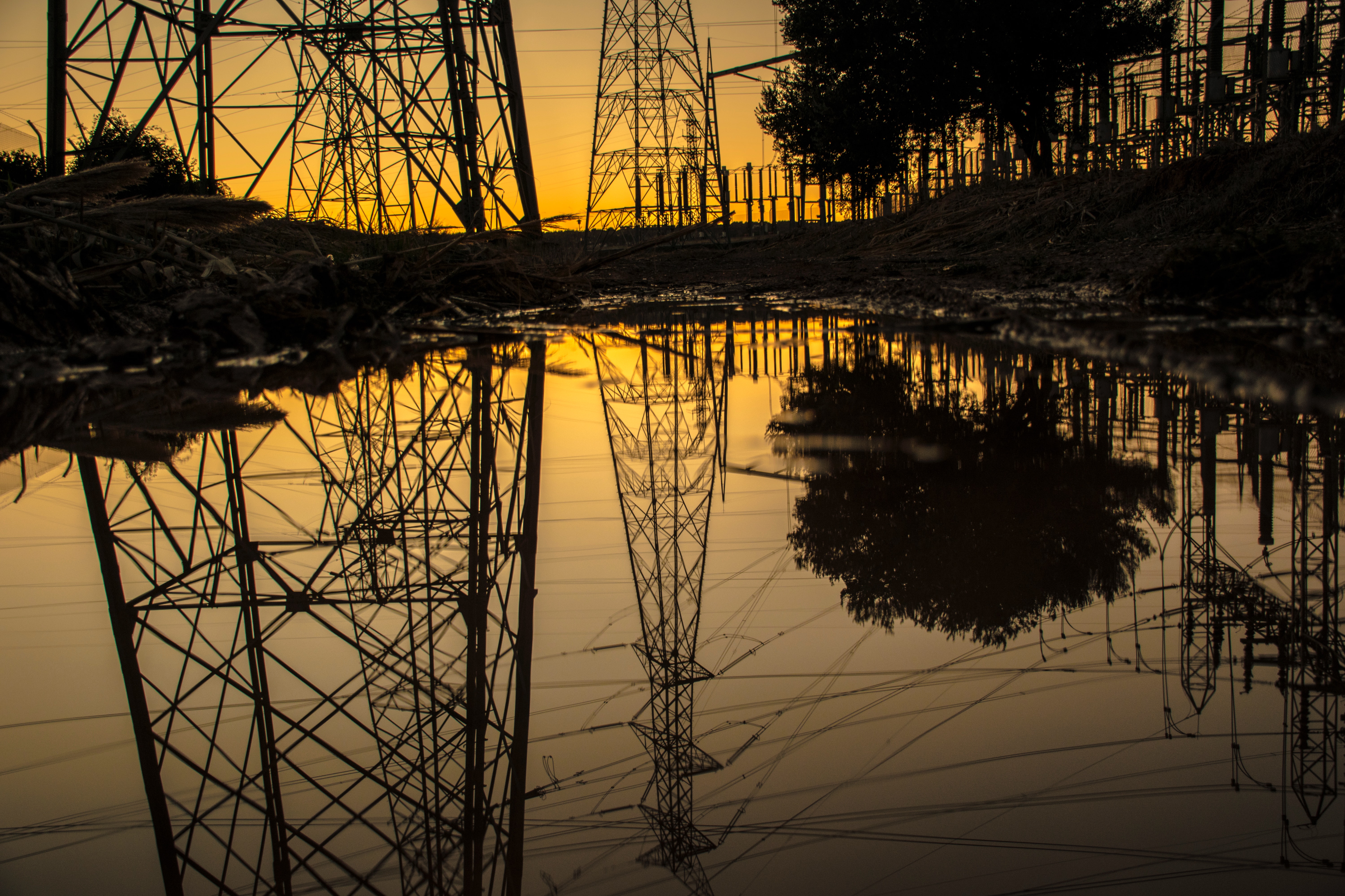 Silhouette of trees and electric tower reflecting on body of water during sunset photo