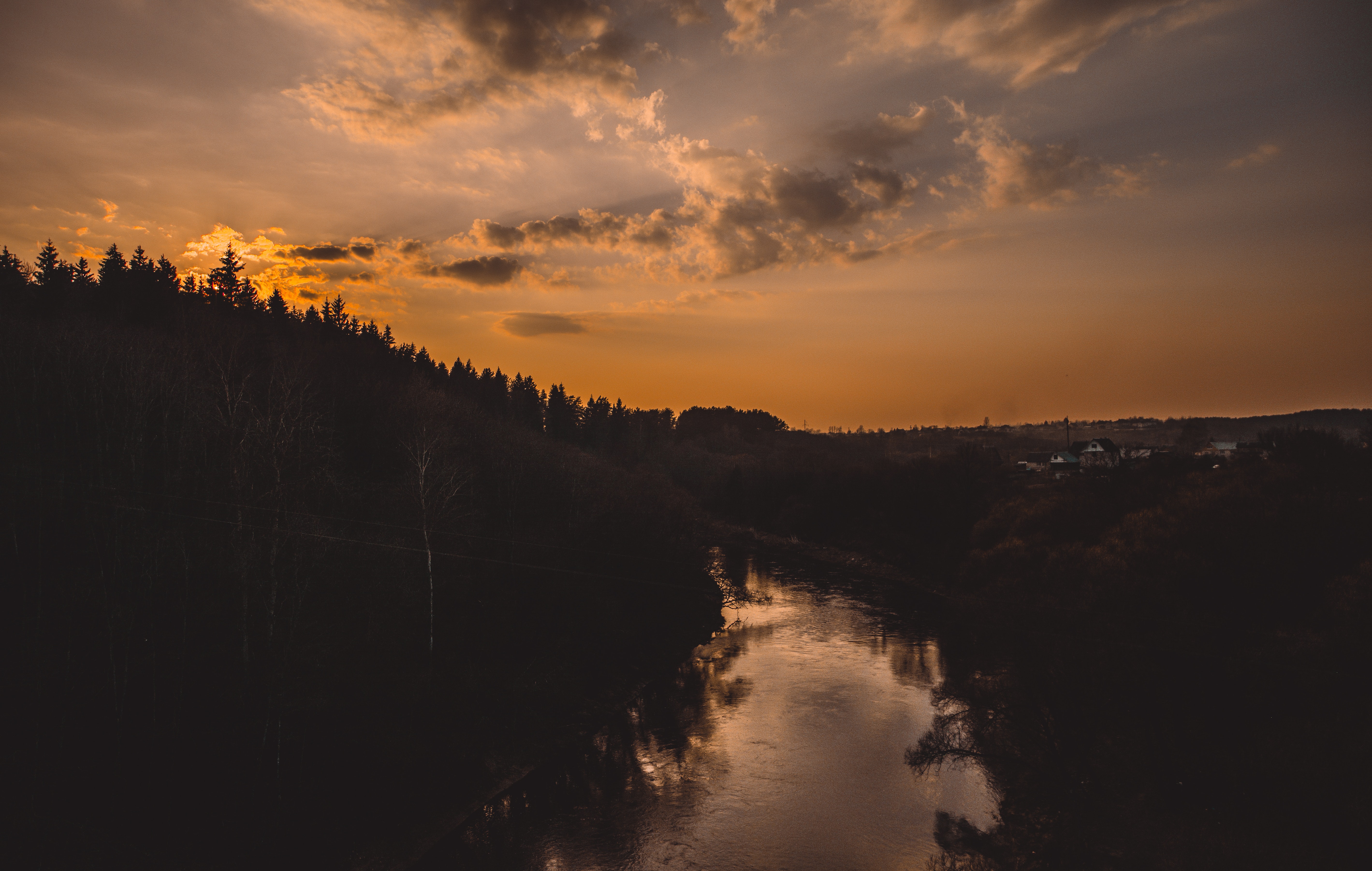 Silhouette of trees beside river photo