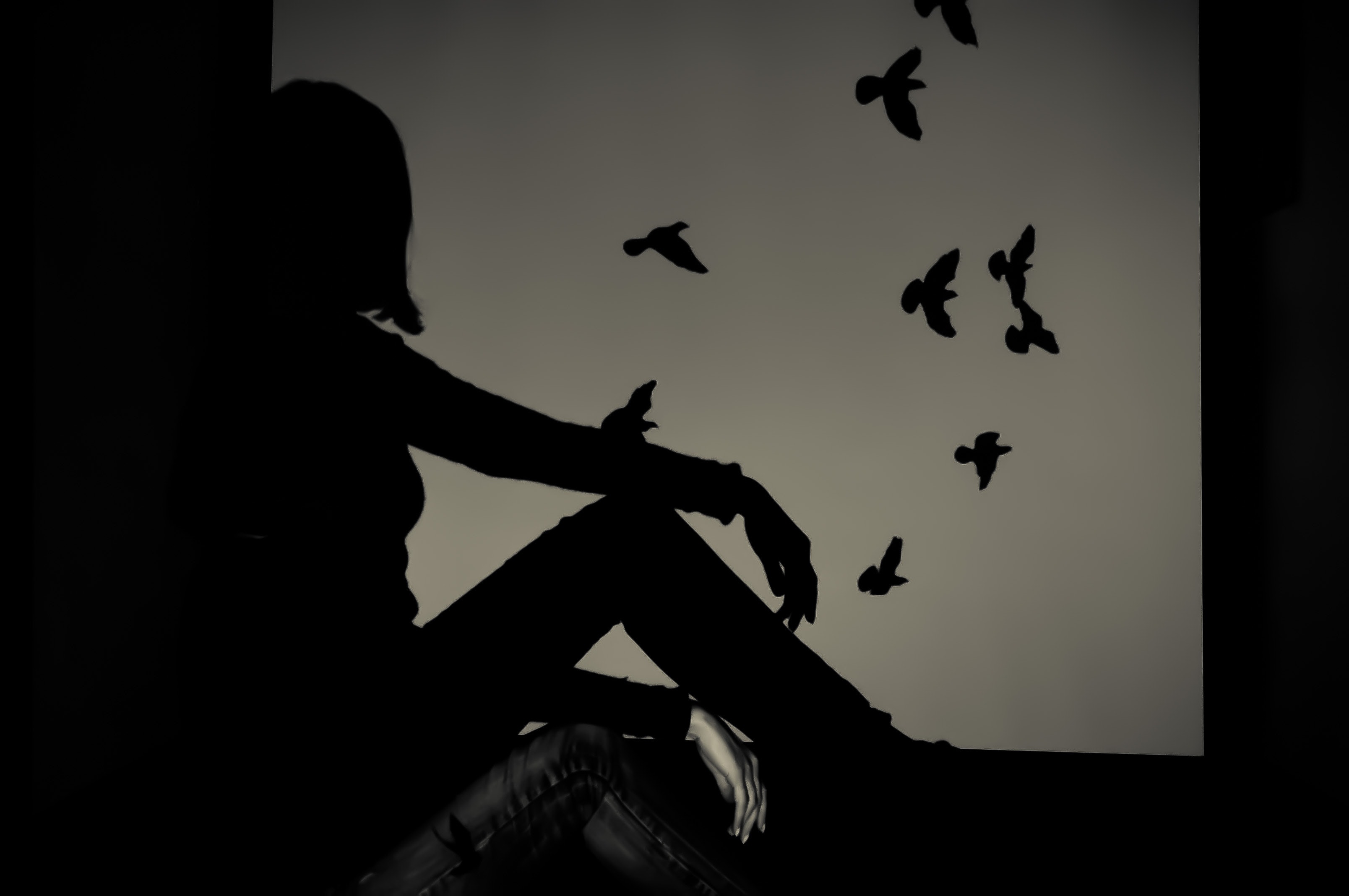 Silhouette of woman sitting on window watching birds flying photo
