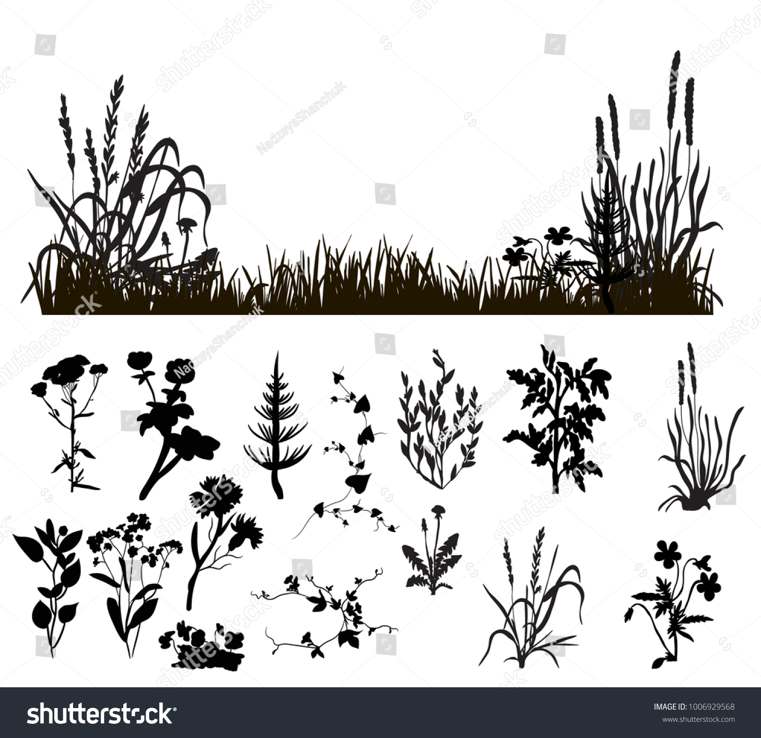 Isolated Silhouette Grass Plants Stock Vector 1006929568 - Shutterstock