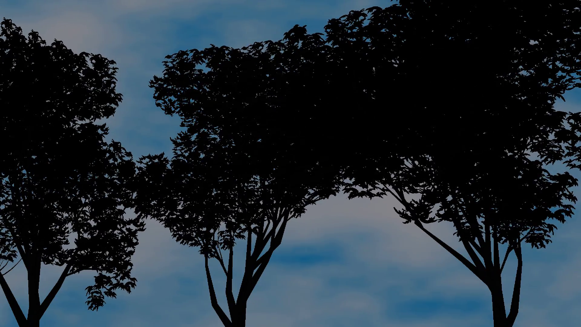 Silhouetted trees and moving clouds Motion Background - Videoblocks