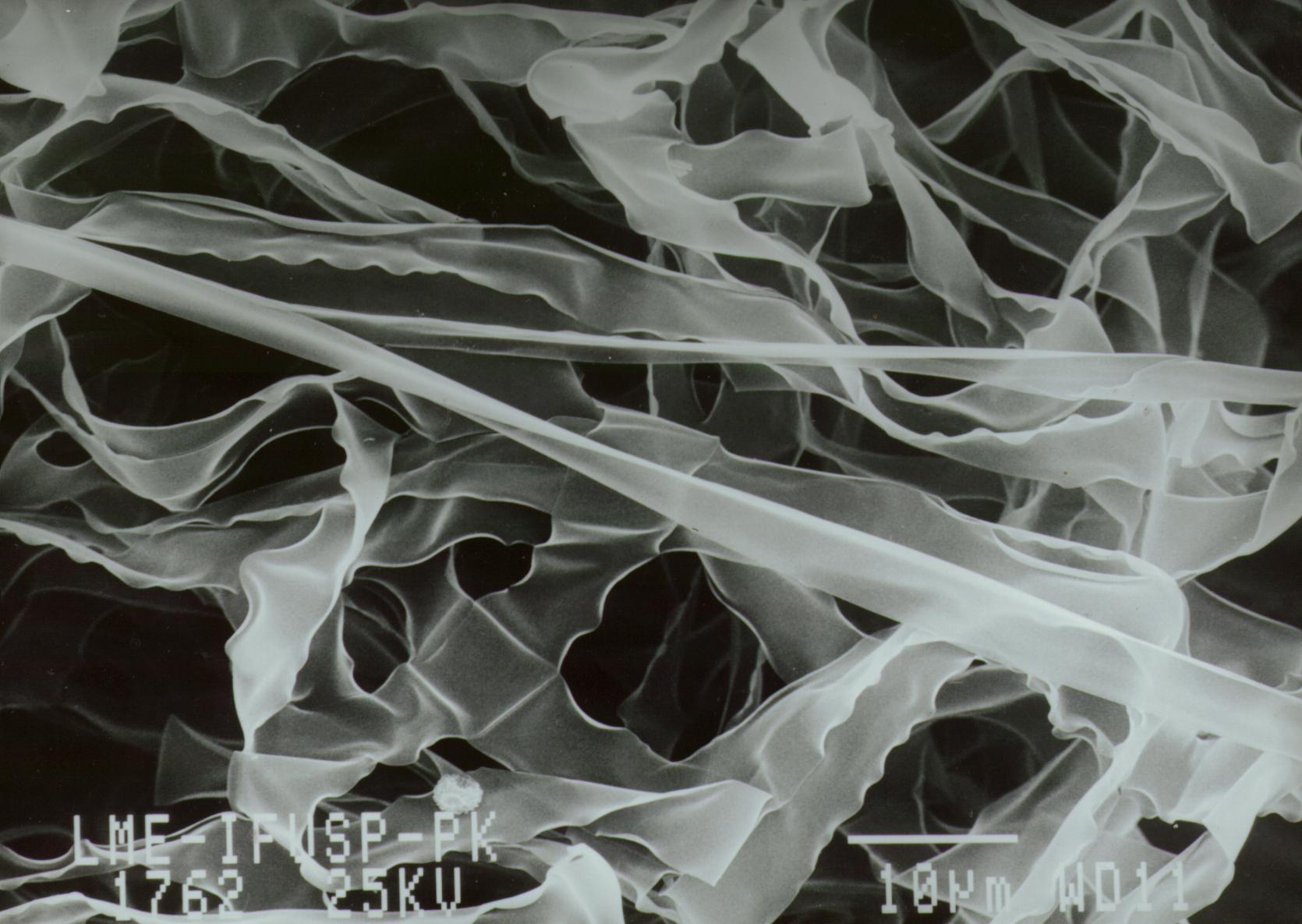 silk microscopic view