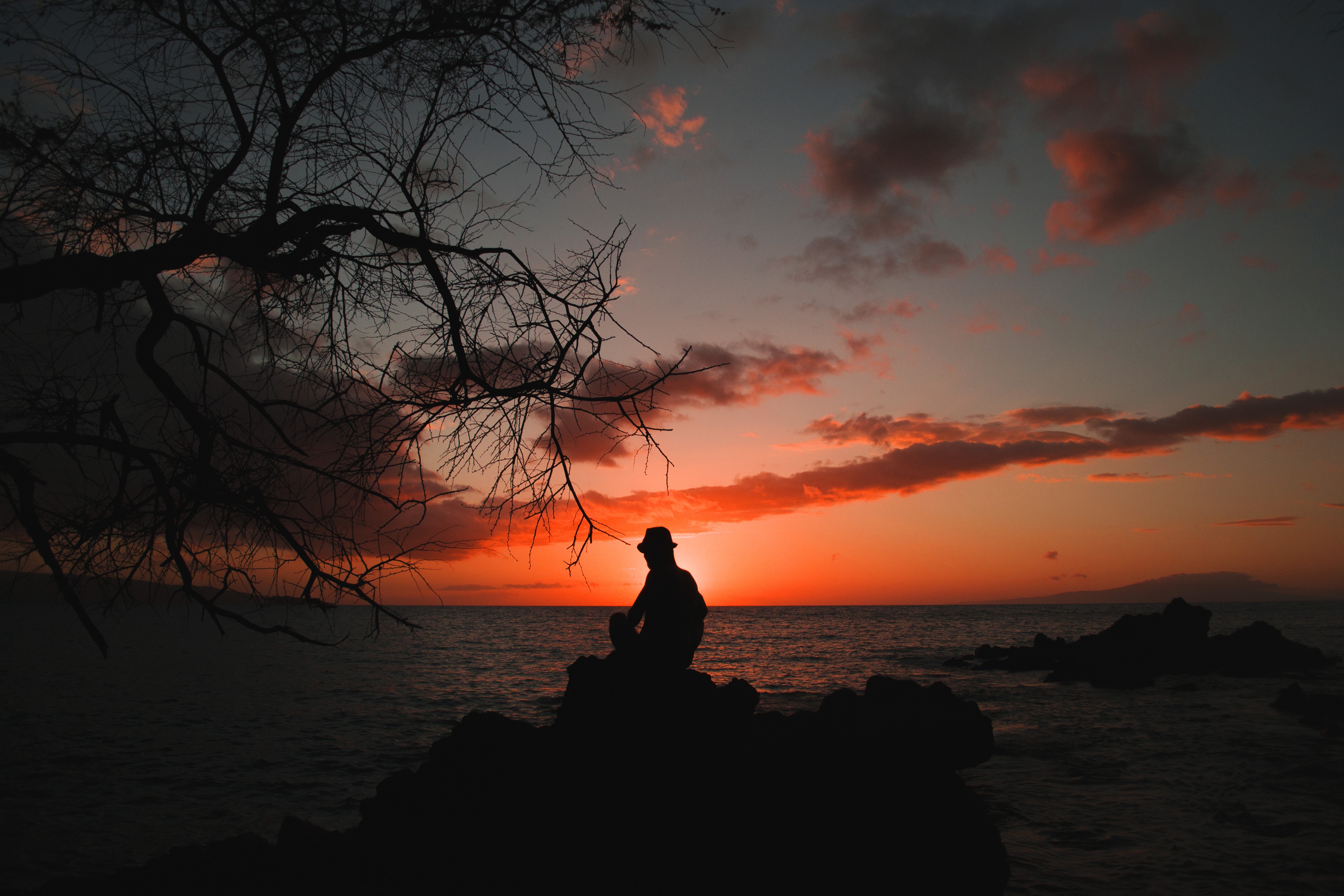 Silouhette of Person Seating on Stones Behind Body of Water, Backlit, Sea, Tree, Sunset, HQ Photo