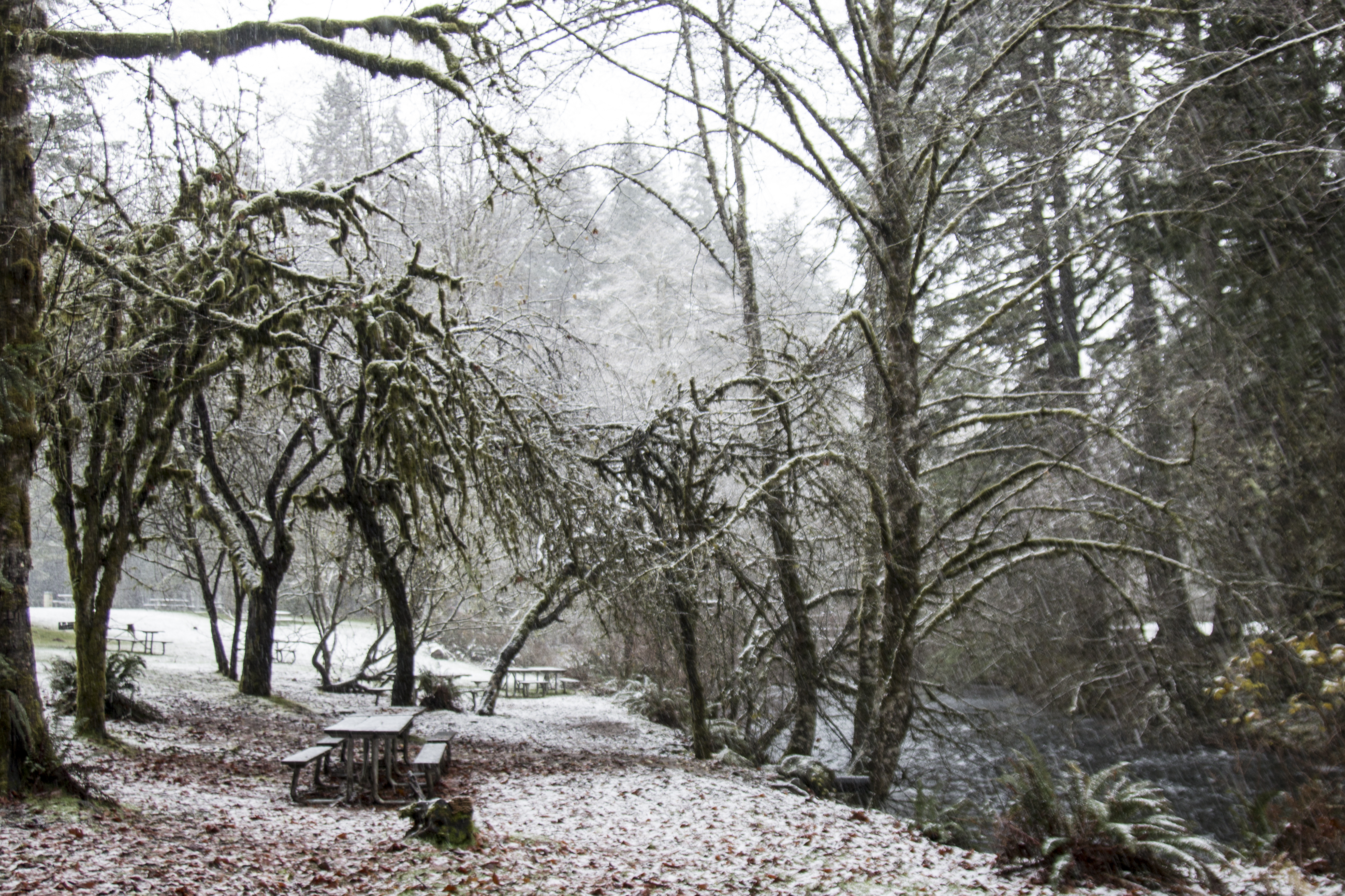 Silver creek park, snow in the cascades, oregon photo