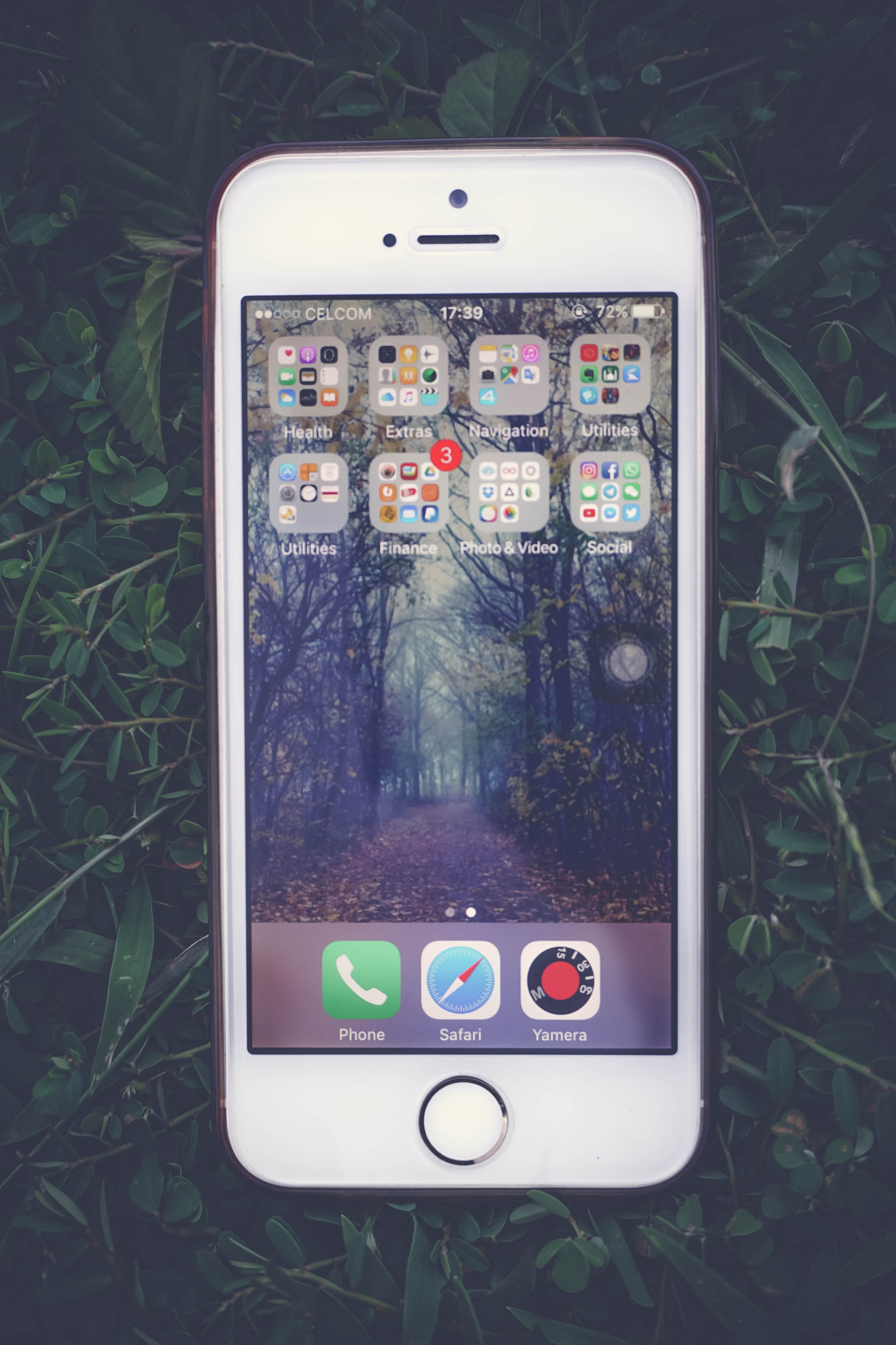 Silver Iphone 5 S, Applications, Multimedia, Trees, Touch screen, HQ Photo