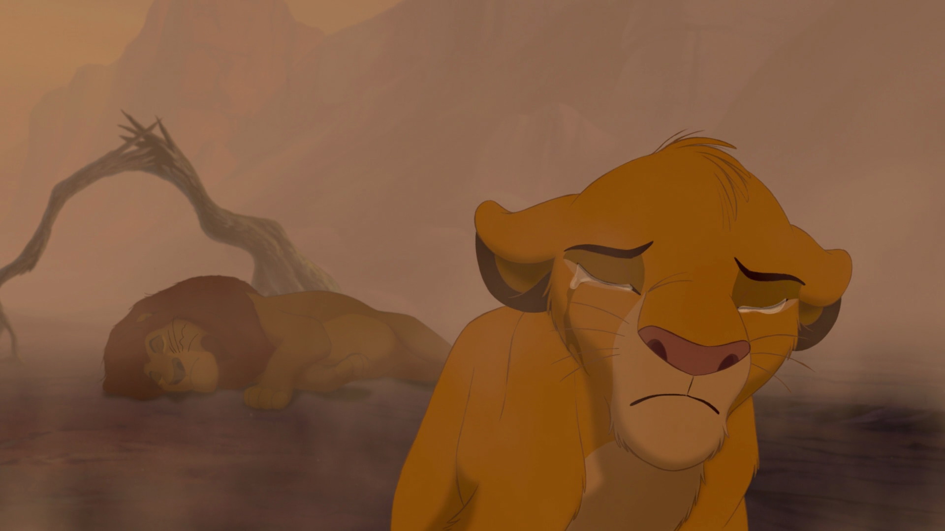 Free photo: Simba - Child, Cute, Deadly - Free Download - Jooinn