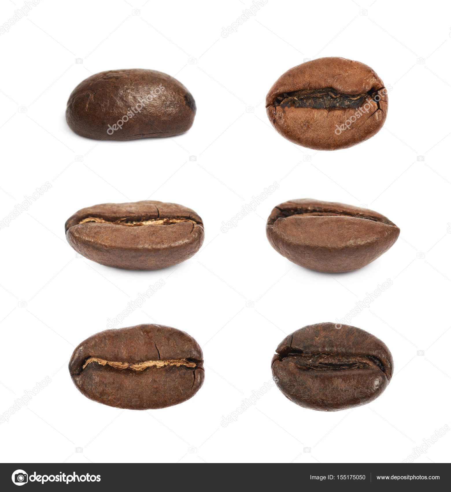 Single coffee bean isolated — Stock Photo © nbvf89 #155175050