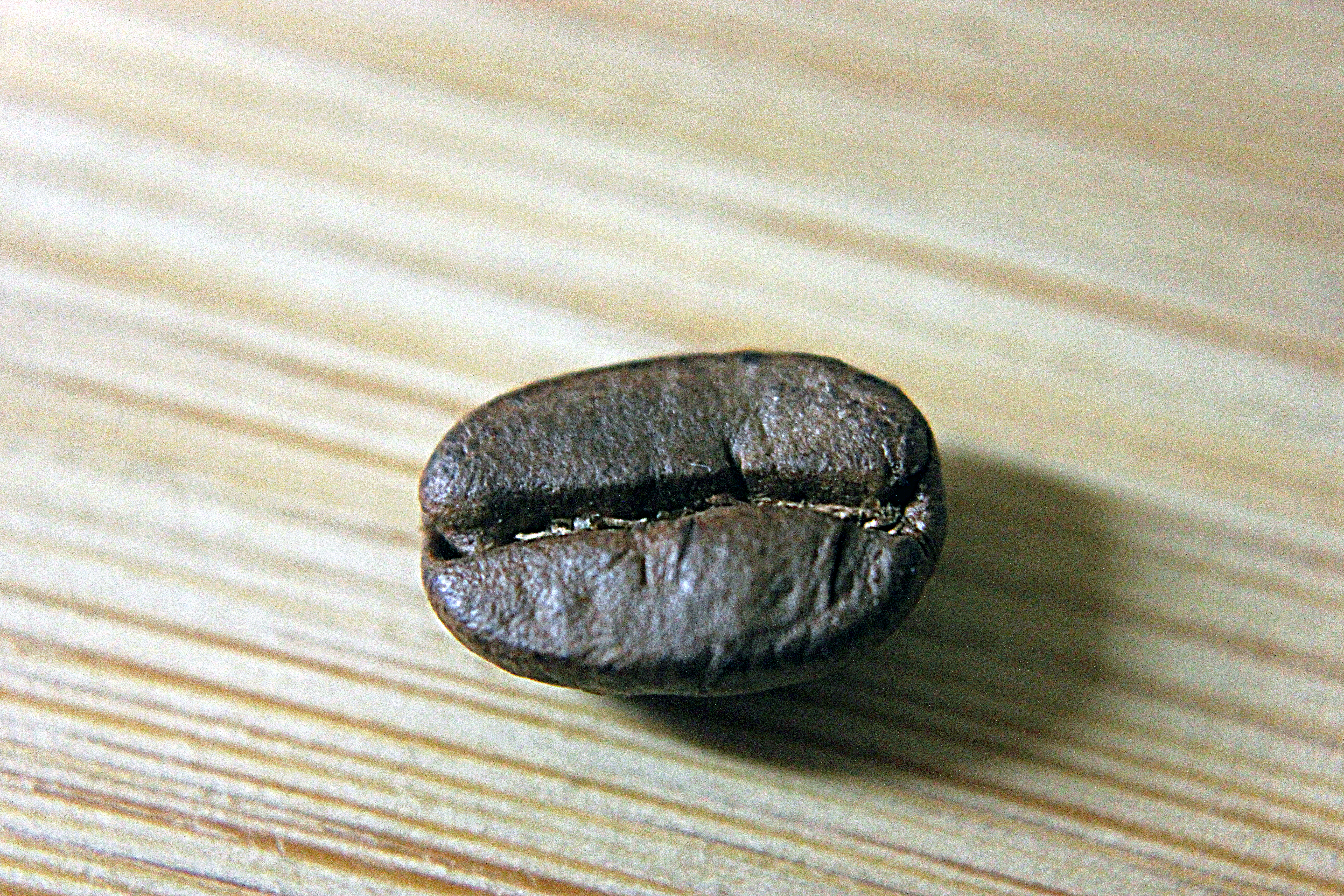 Single Coffee Bean, Bean, Brown, Coffee, Wood, HQ Photo