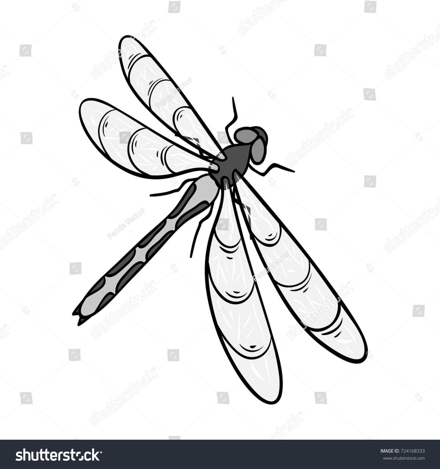 Dragonfly Predatory Insectdragonfly Flying Invertebrate Insect Stock ...