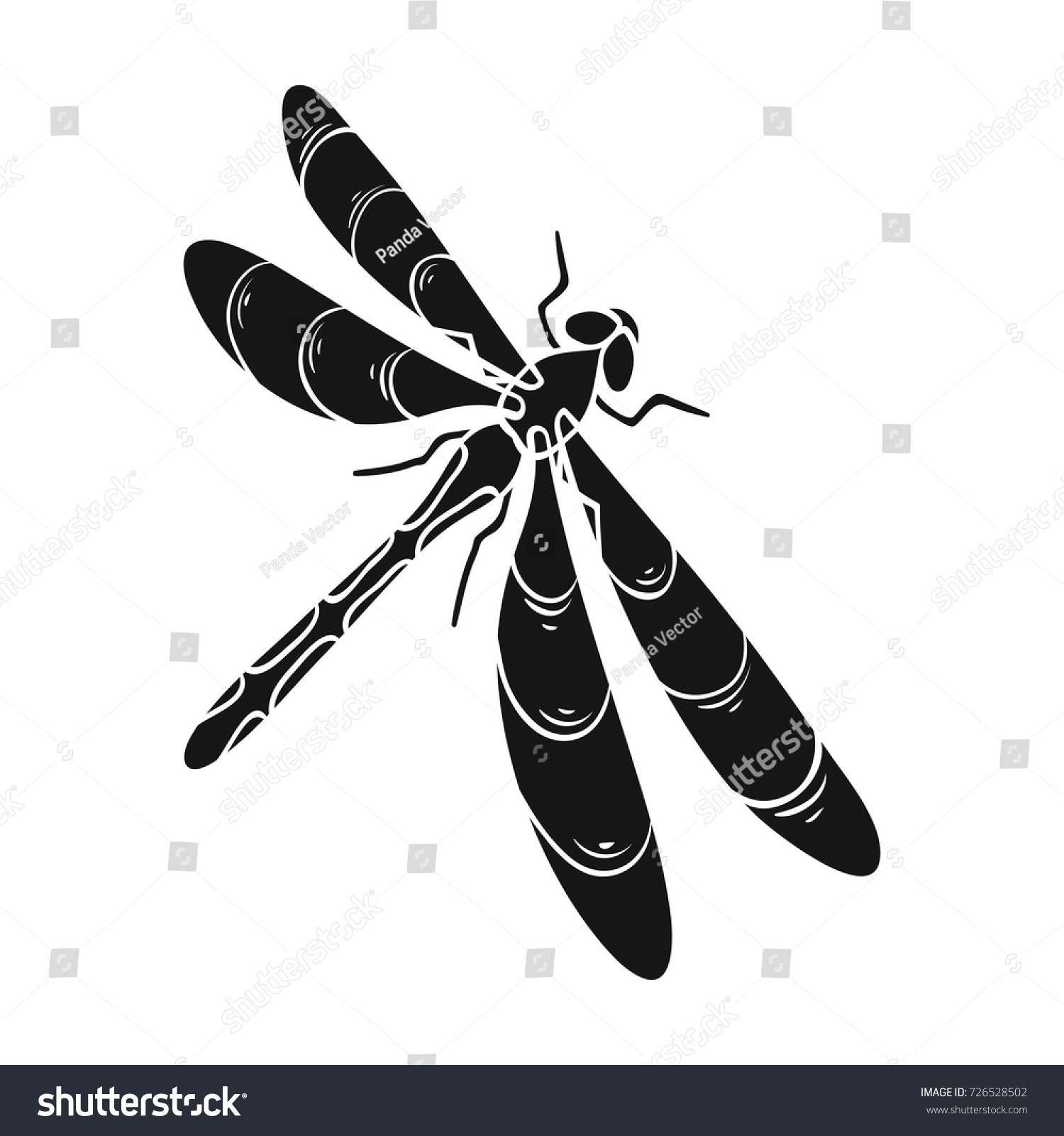 Dragonfly Predatory Insectdragonfly Flying Invertebrate Insect Stock ...