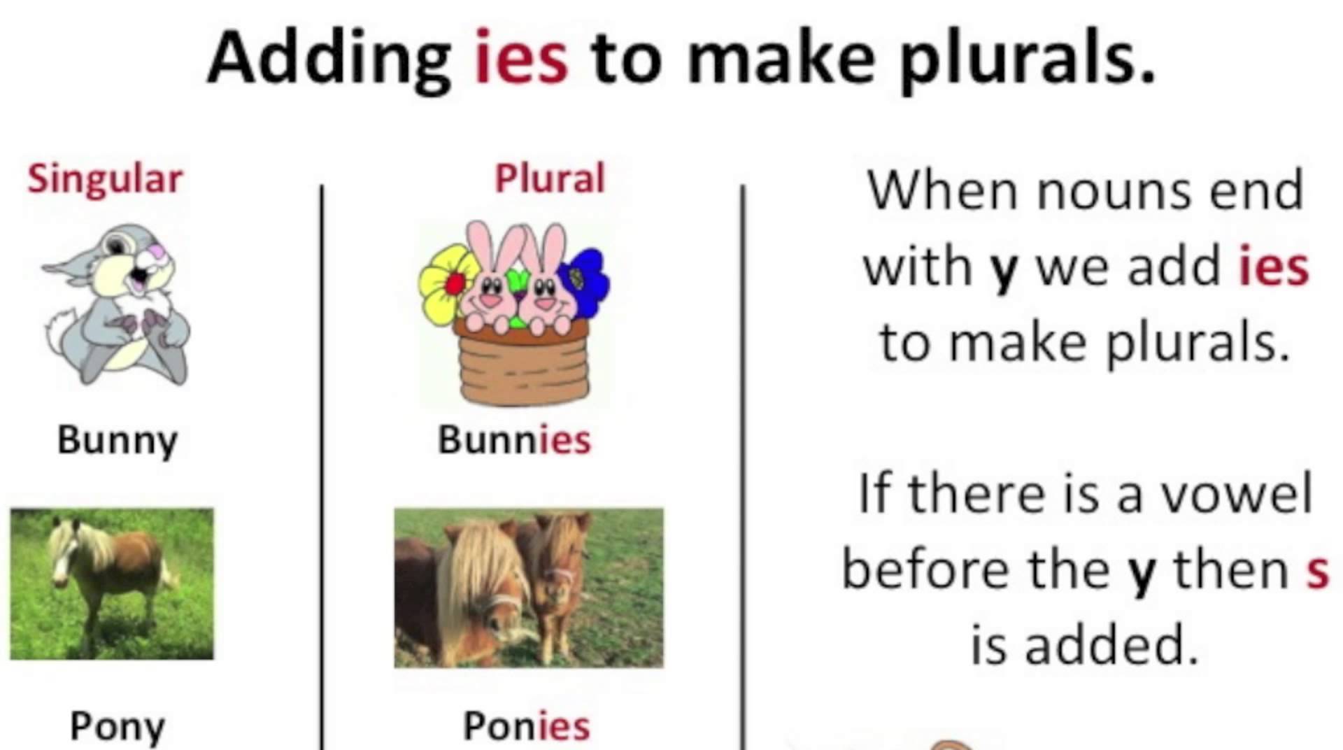 Singular and Plural Words - NOUNS - Vocabulary Building - English ...