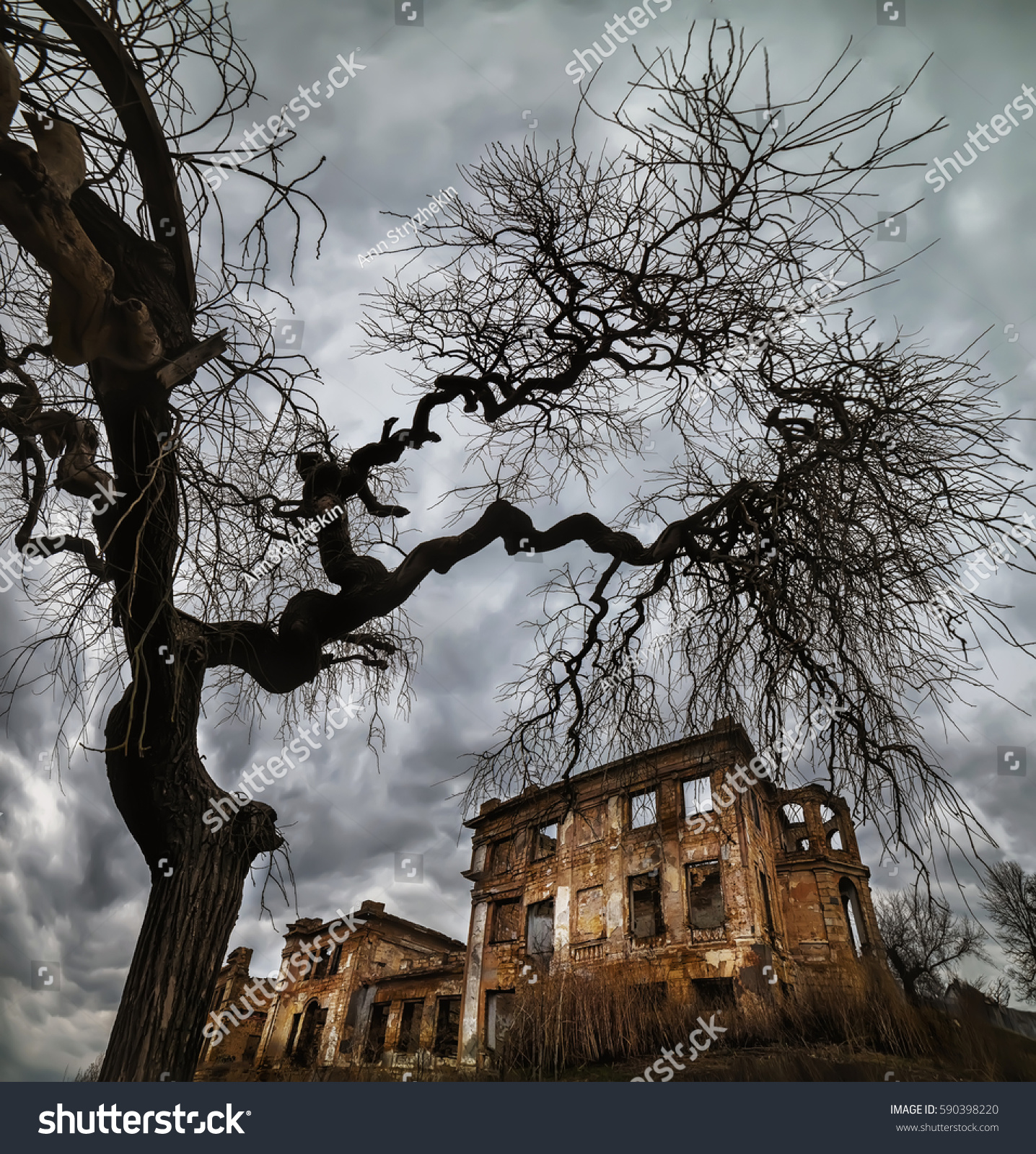 Ruins Old Abandoned Mansion Sinister Tree Stock Photo (Safe to Use ...
