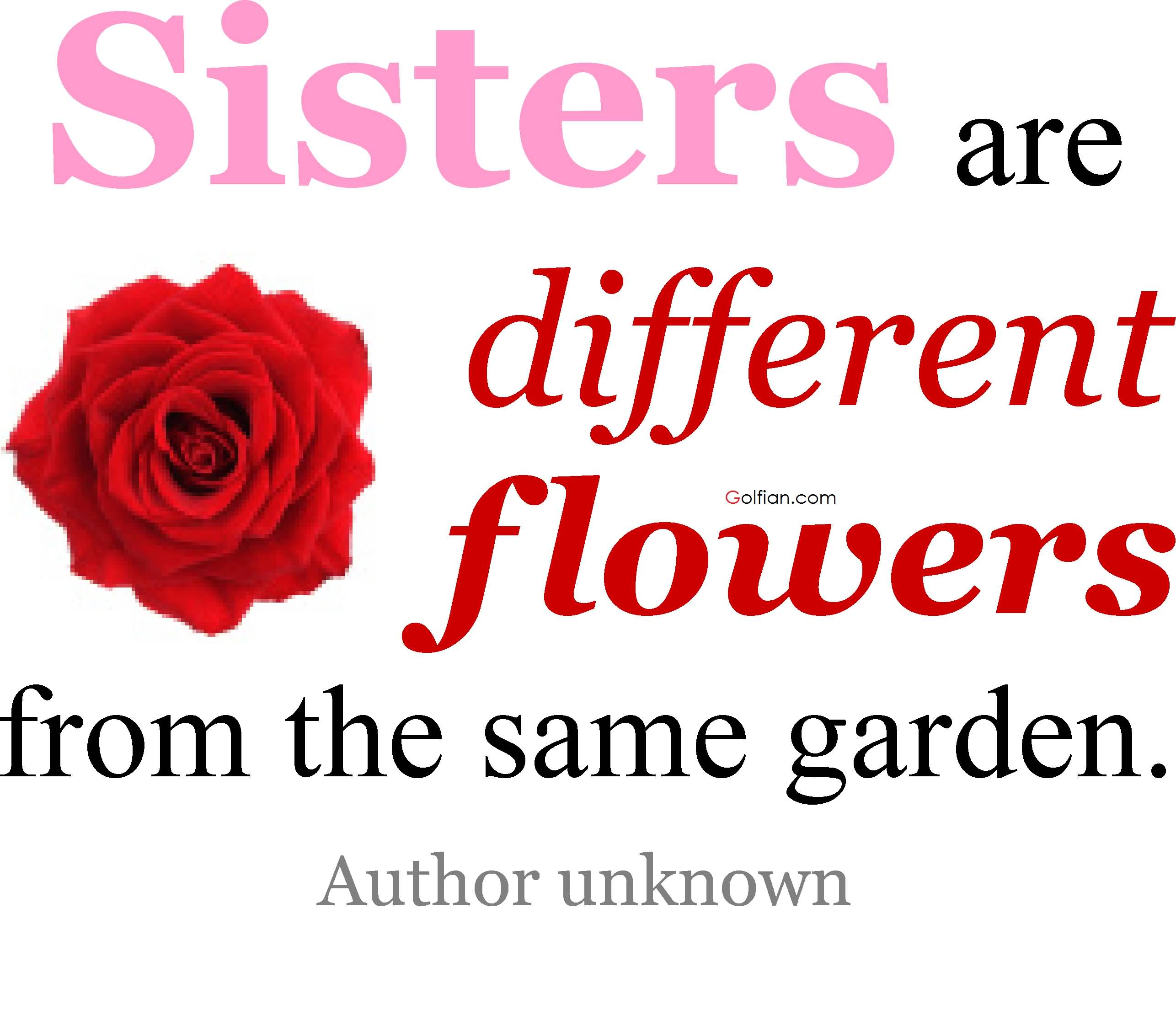 80+ Most Beautiful Sister Quotes – Best Sister Love Sayings Images ...