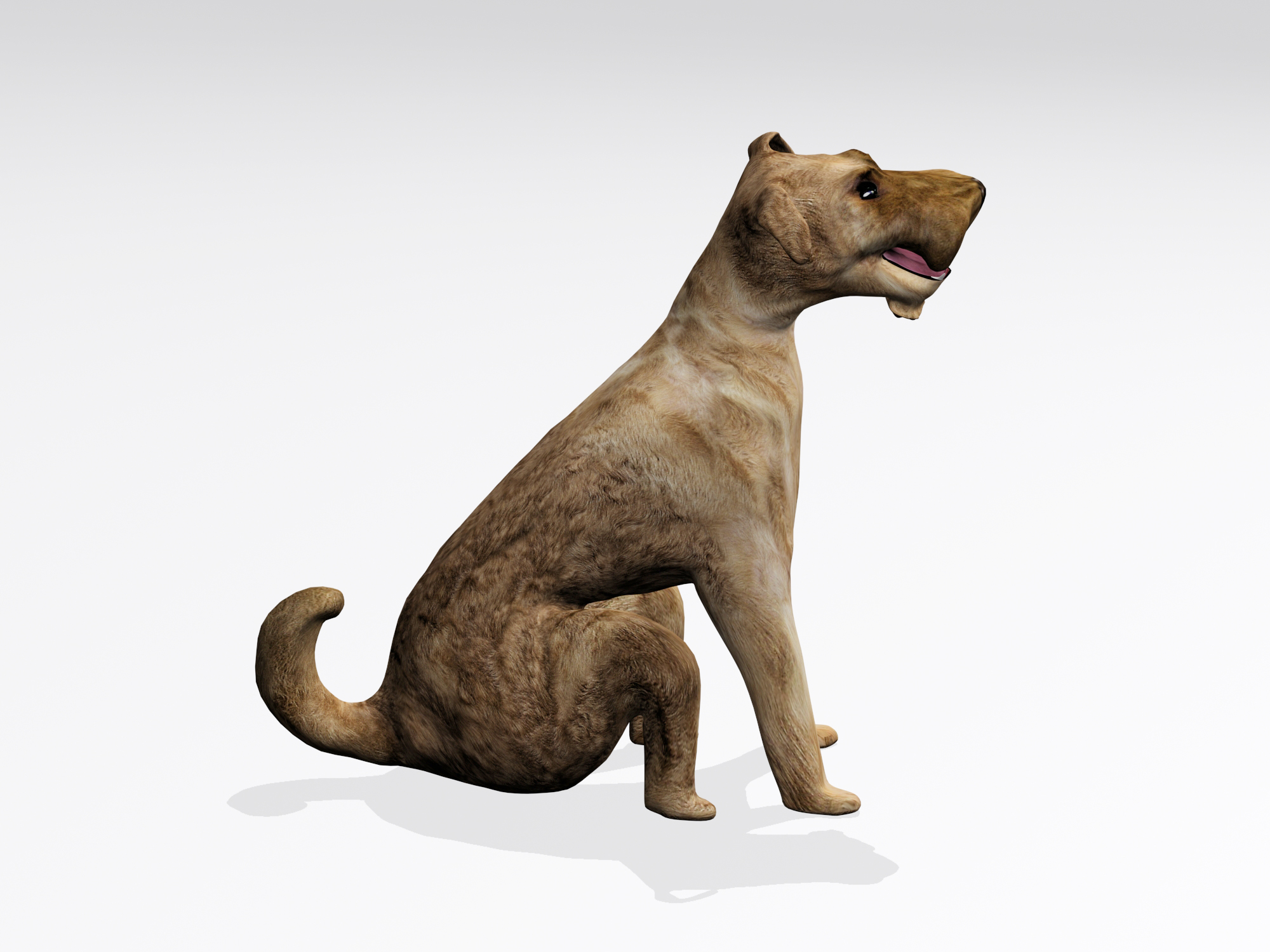 3D Sitting dog | CGTrader
