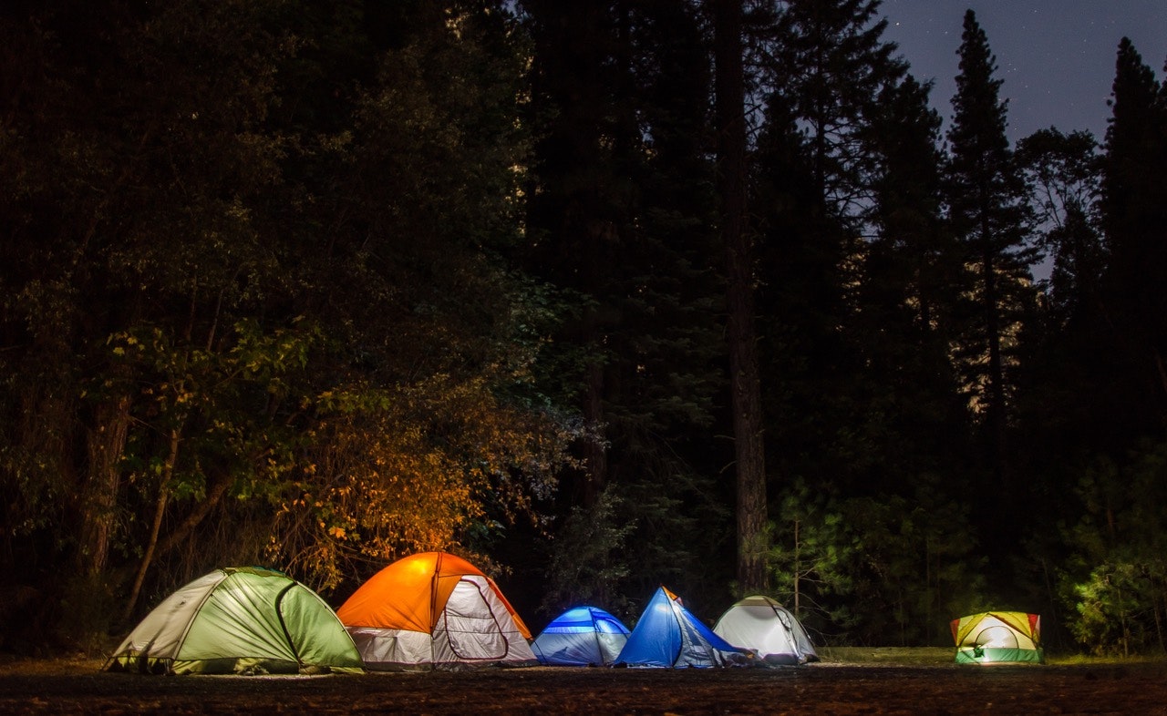 Six camping tents in forest photo