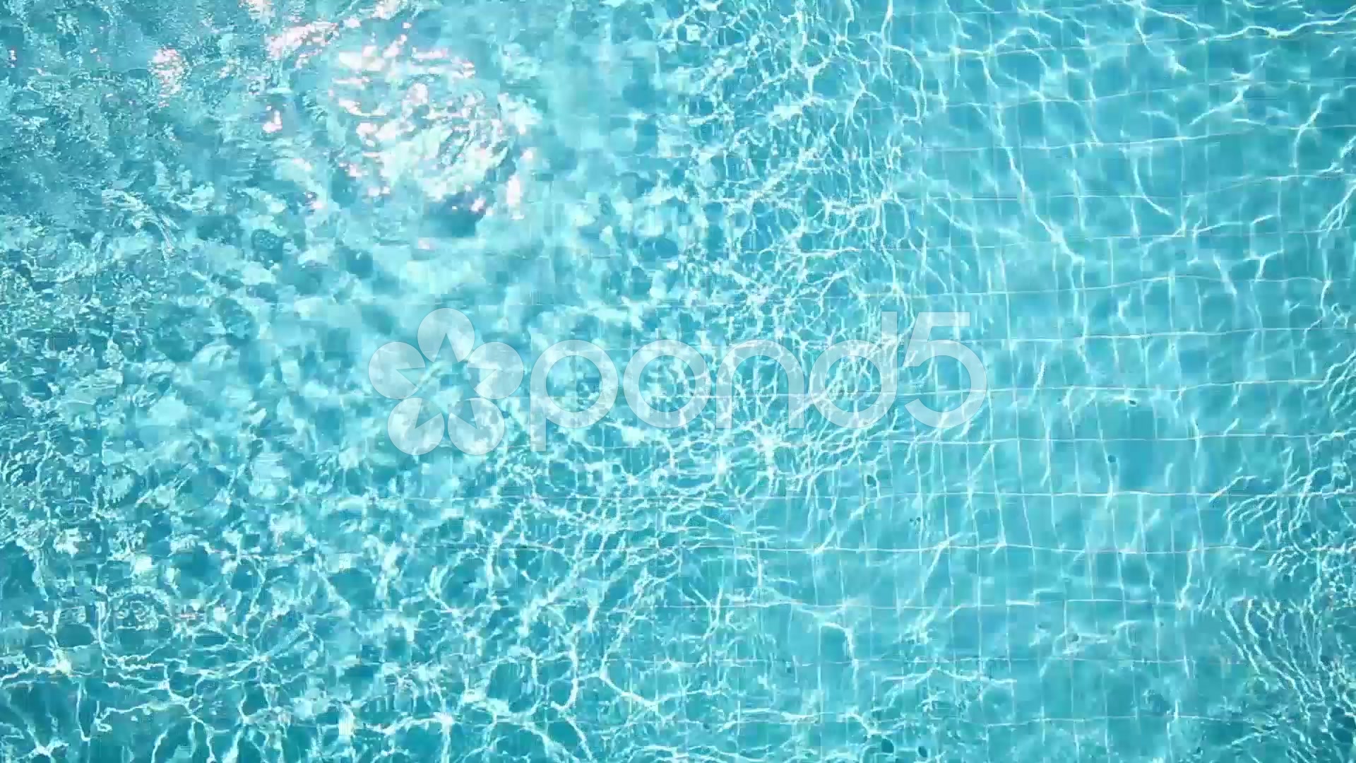 Swimming Pool Top View ~ HD & 4K Stock Footage #46265158