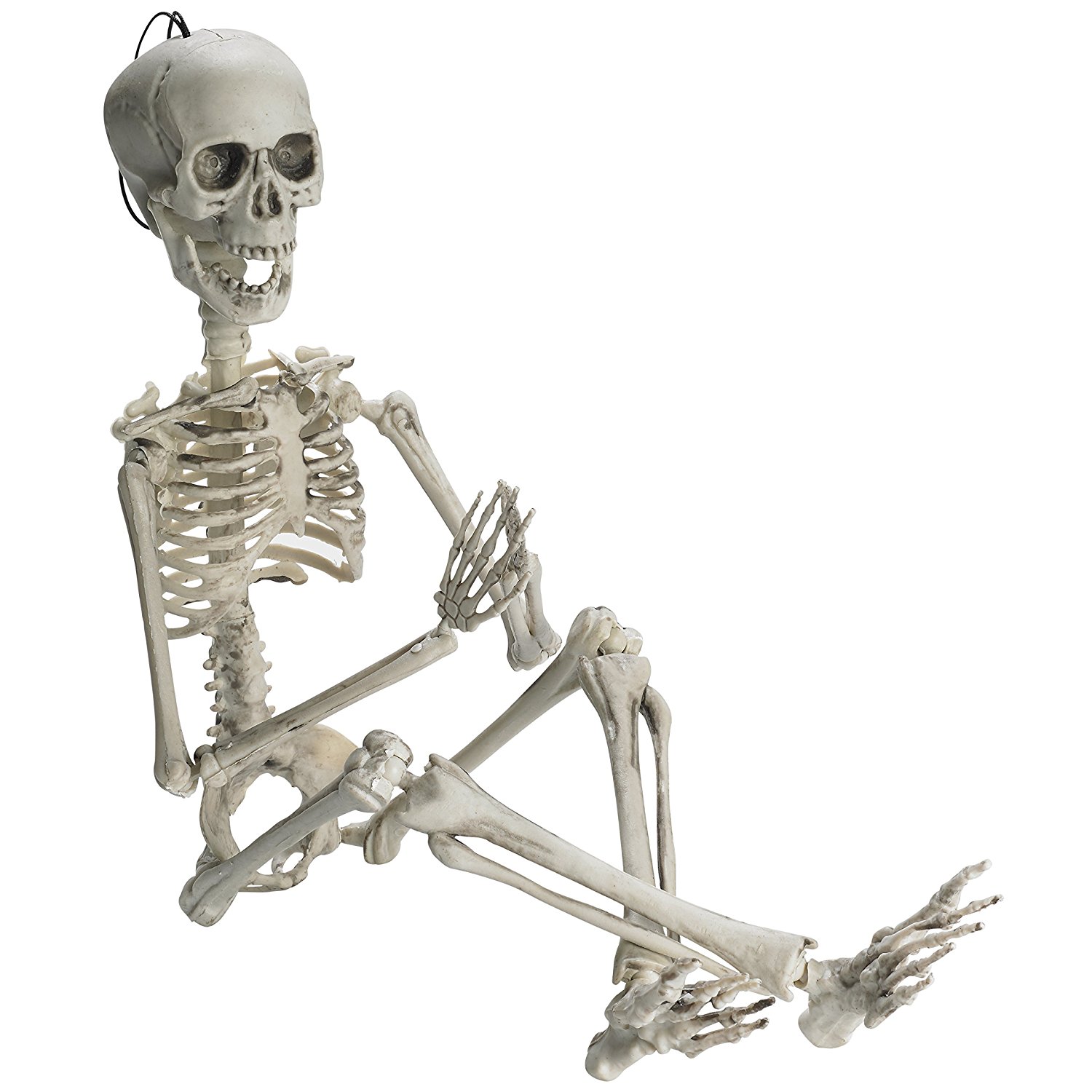 Amazon.com: Prextex 19” Posable Halloween Skeleton- Full Body ...