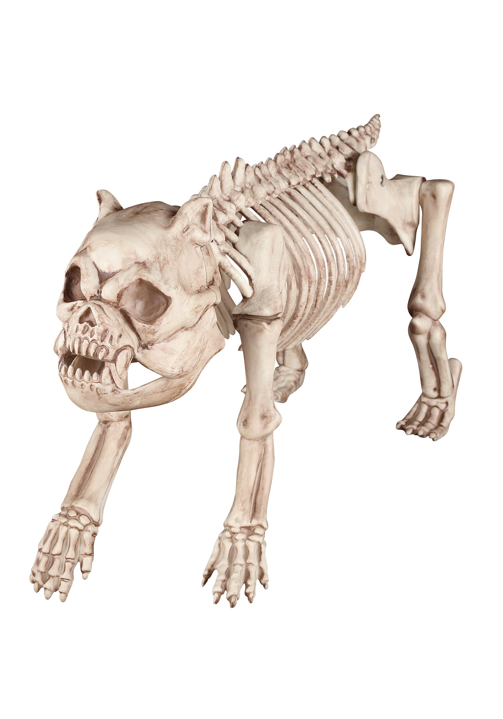 Bones the Hungry Hound Skeleton Dog