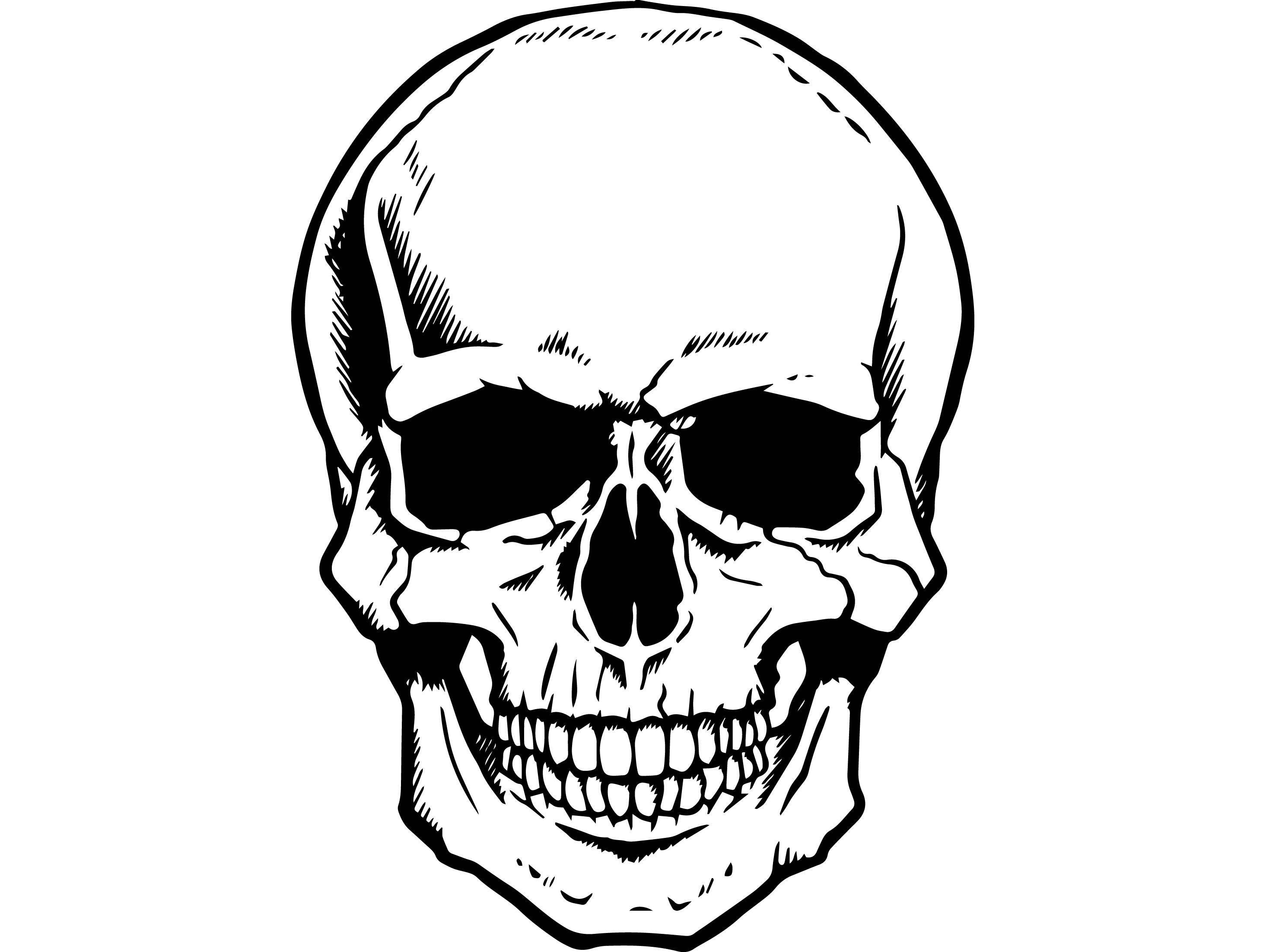 Skull Head Dead Skeleton Death Bone Art Human Horror Halloween