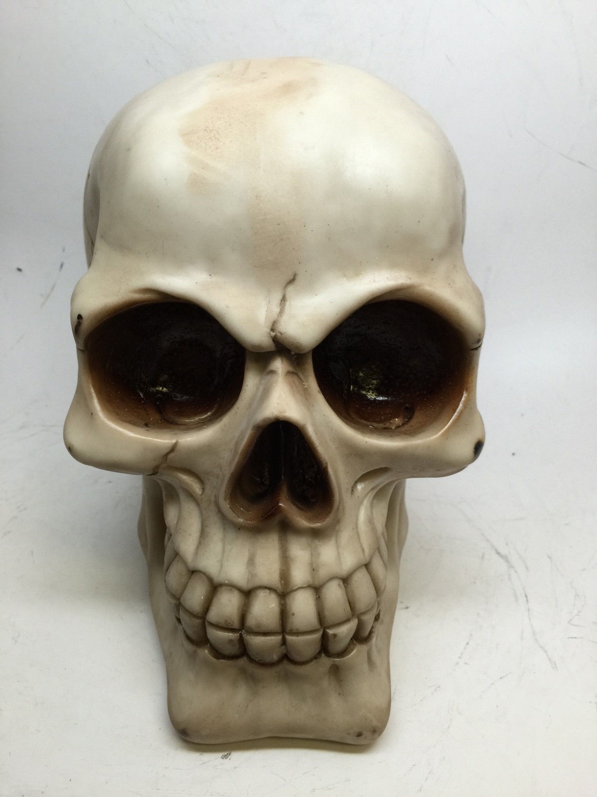 Skeleton Head Human Skull Large 8